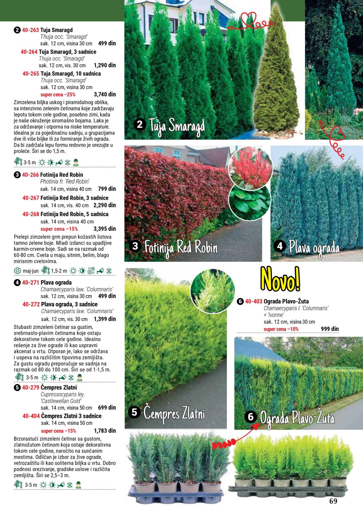 flora-ekspres - Flora Ekspres katalog septembar 2025 - page: 69