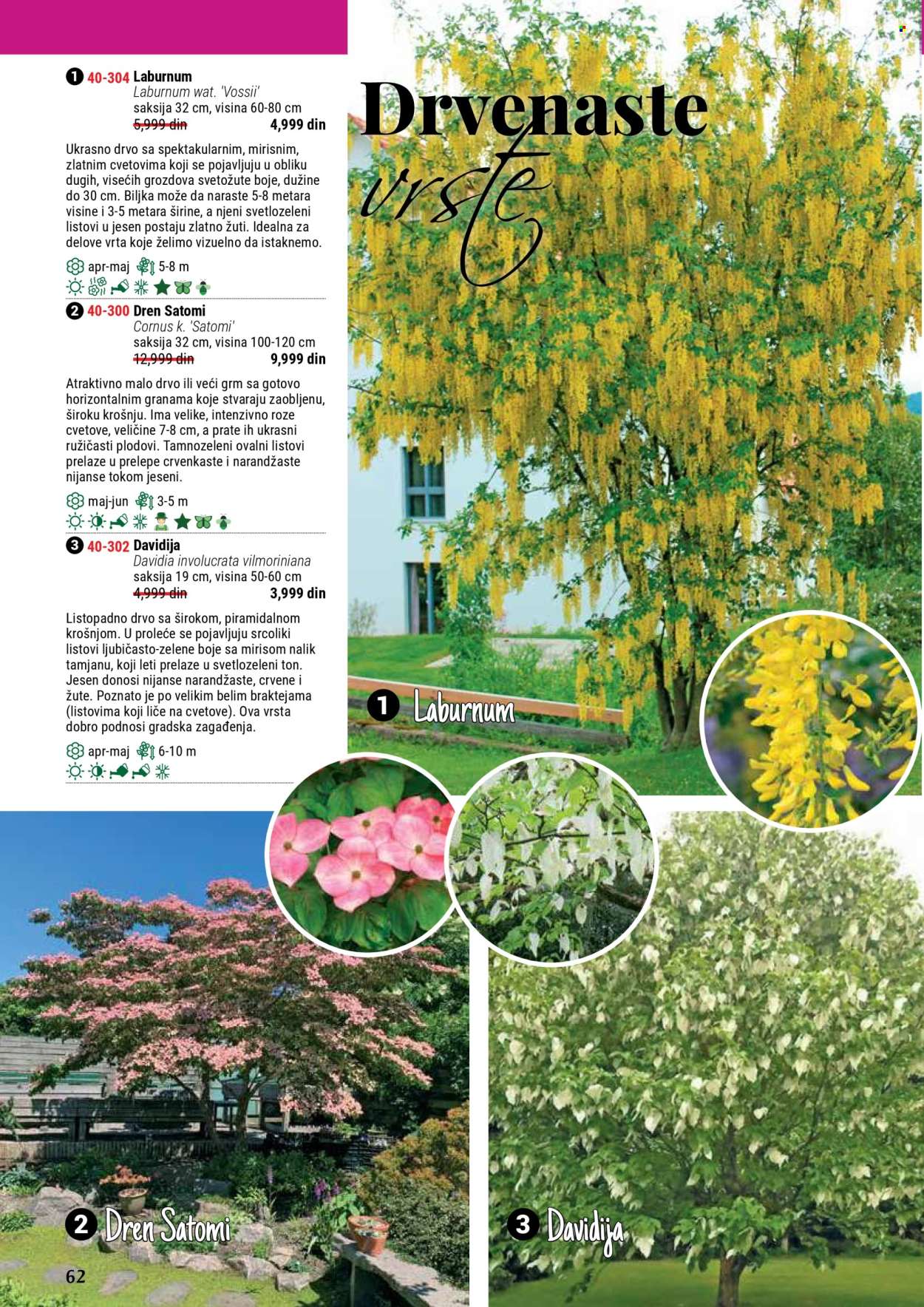 flora-ekspres - Flora Ekspres katalog septembar 2025 - page: 62