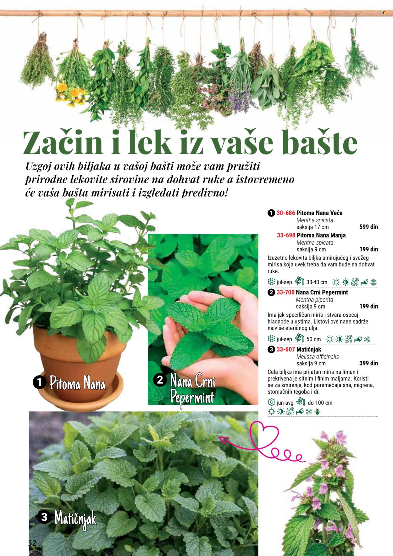 flora-ekspres - Flora Ekspres katalog septembar 2025 - page: 52
