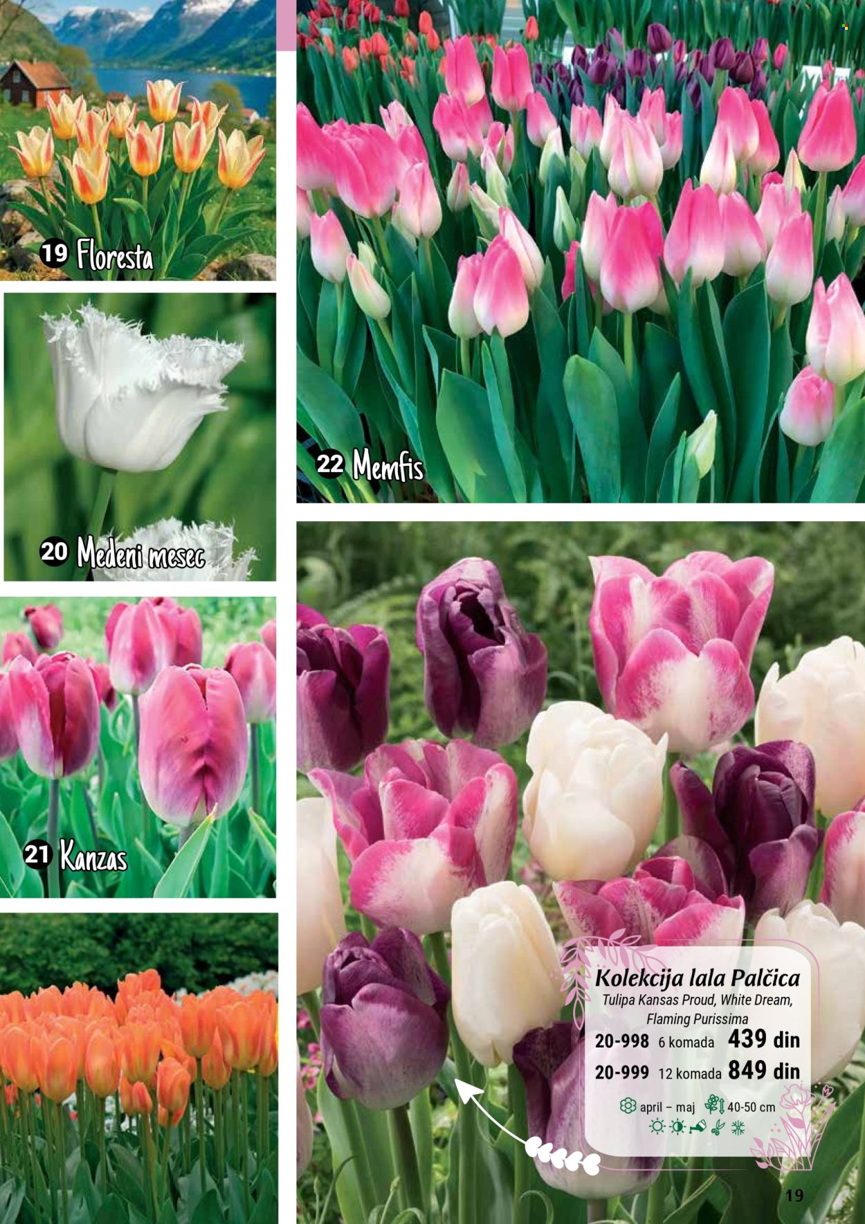 flora-ekspres - Flora Ekspres katalog septembar 2025 - page: 19