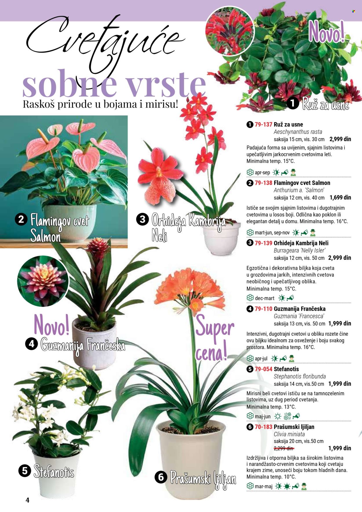 flora-ekspres - Flora Ekspres katalog septembar 2025 - page: 4