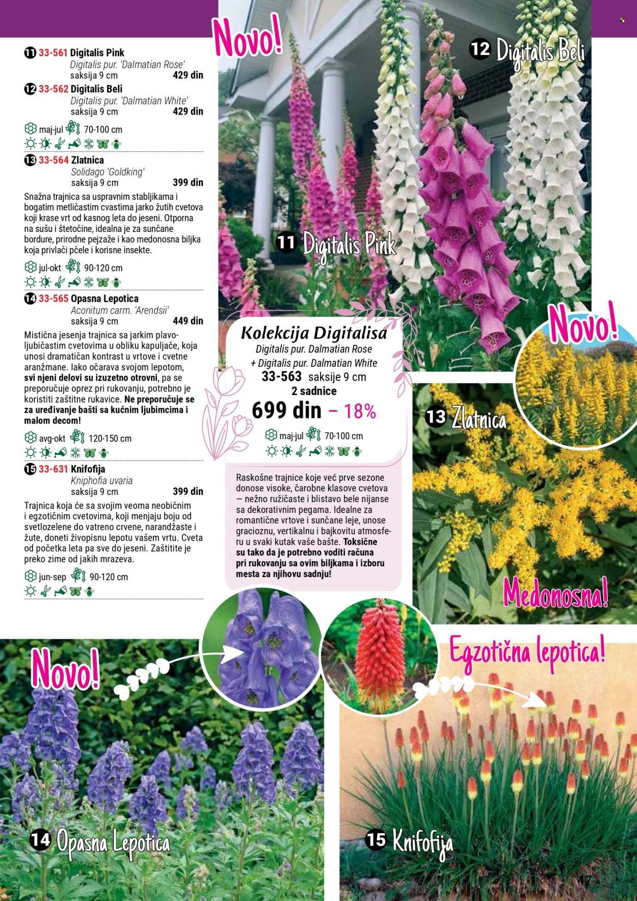 flora-ekspres - Flora Ekspres katalog septembar 2025 - page: 47