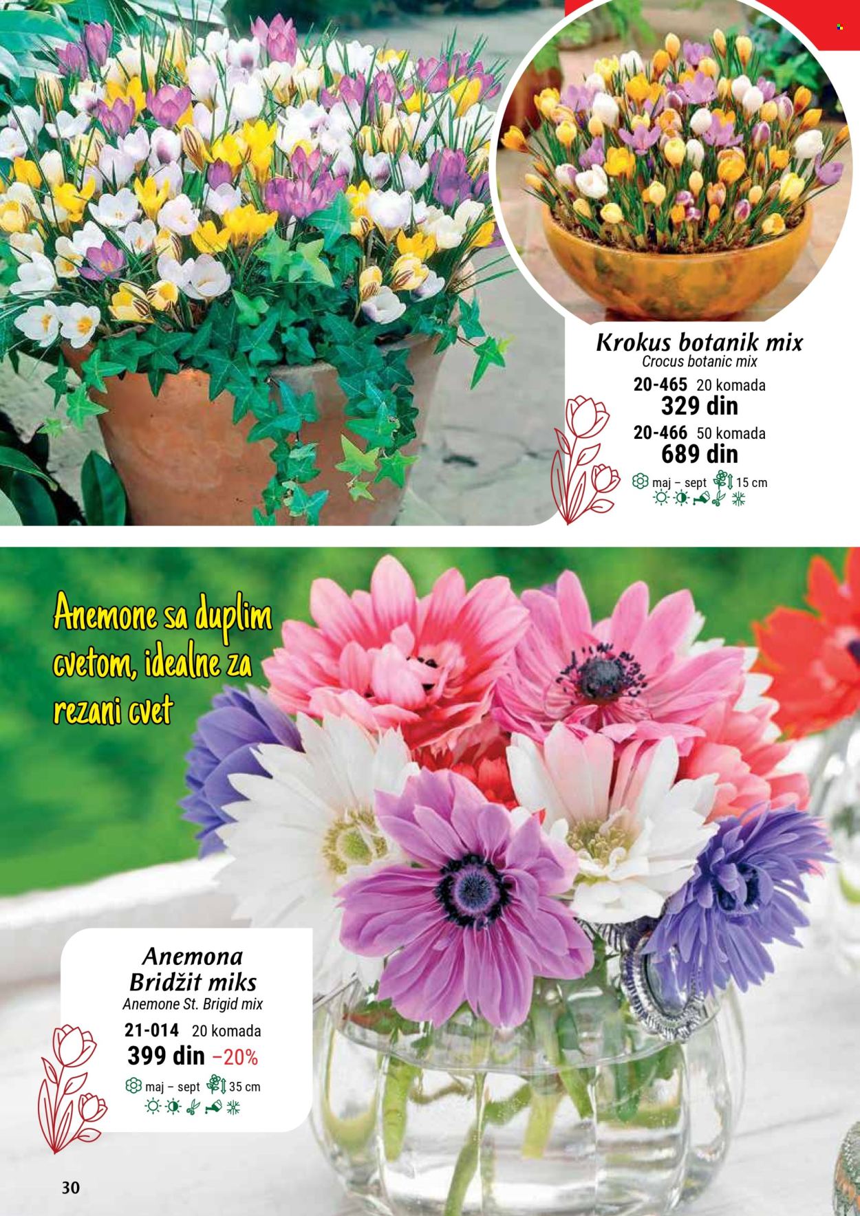 flora-ekspres - Flora Ekspres katalog septembar 2025 - page: 30