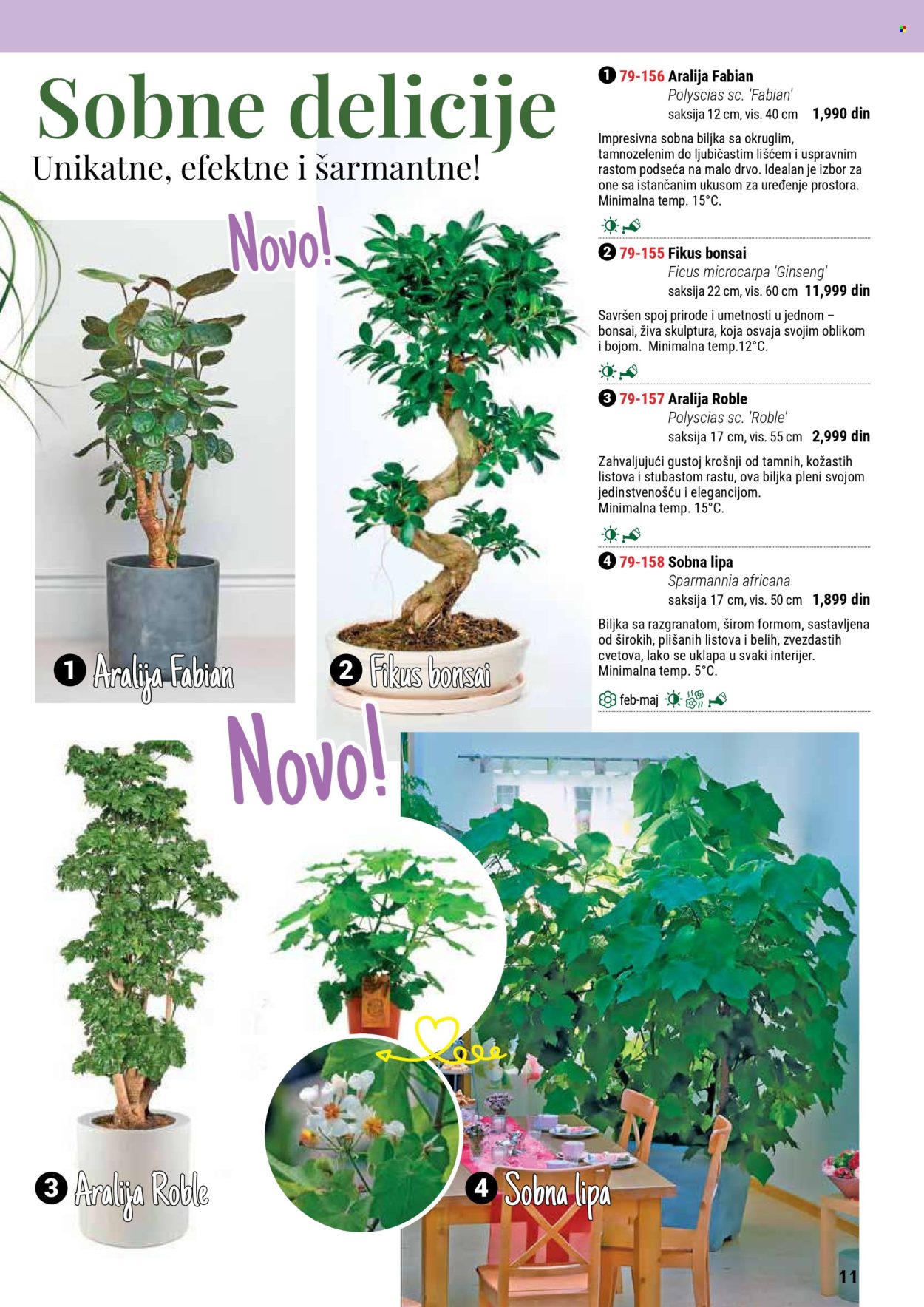 flora-ekspres - Flora Ekspres katalog septembar 2025 - page: 11