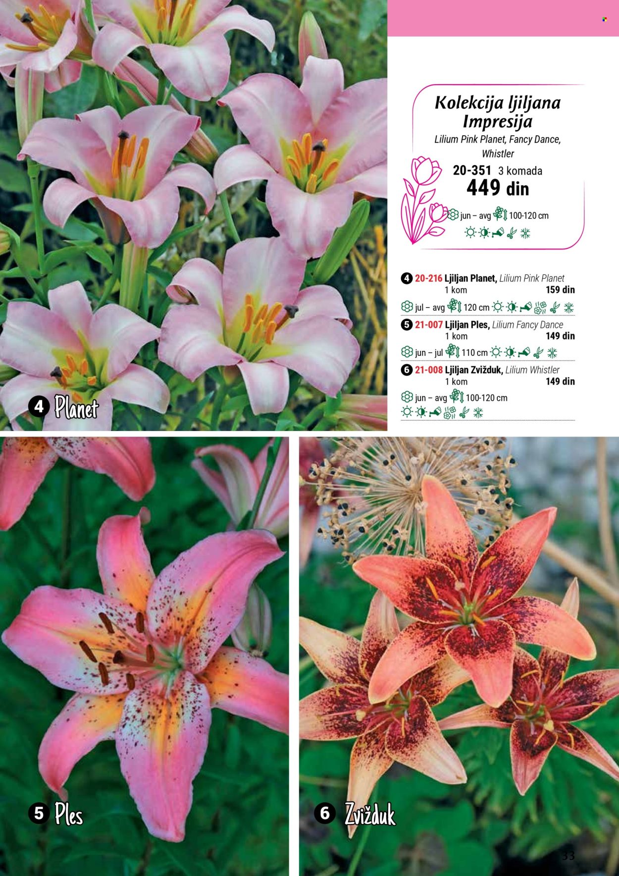 flora-ekspres - Flora Ekspres katalog septembar 2025 - page: 33