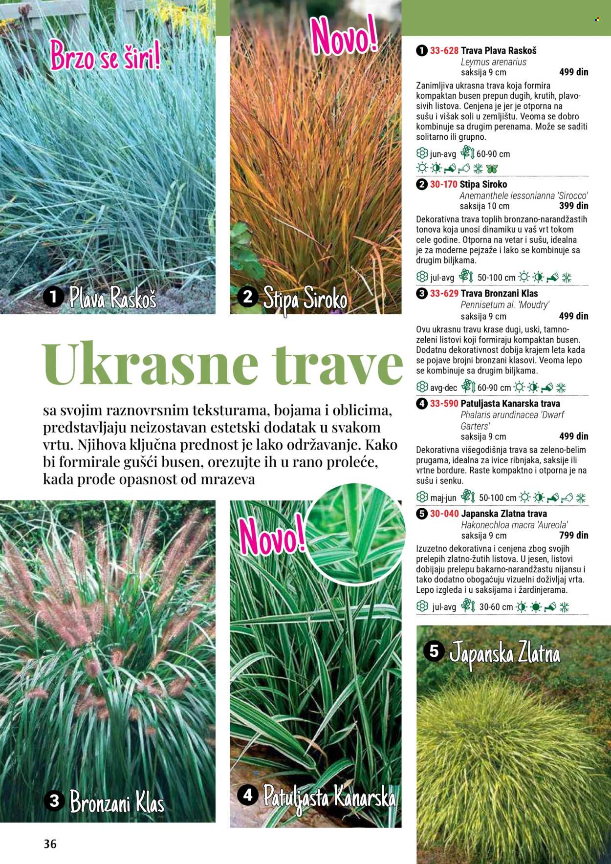 flora-ekspres - Flora Ekspres katalog septembar 2025 - page: 36