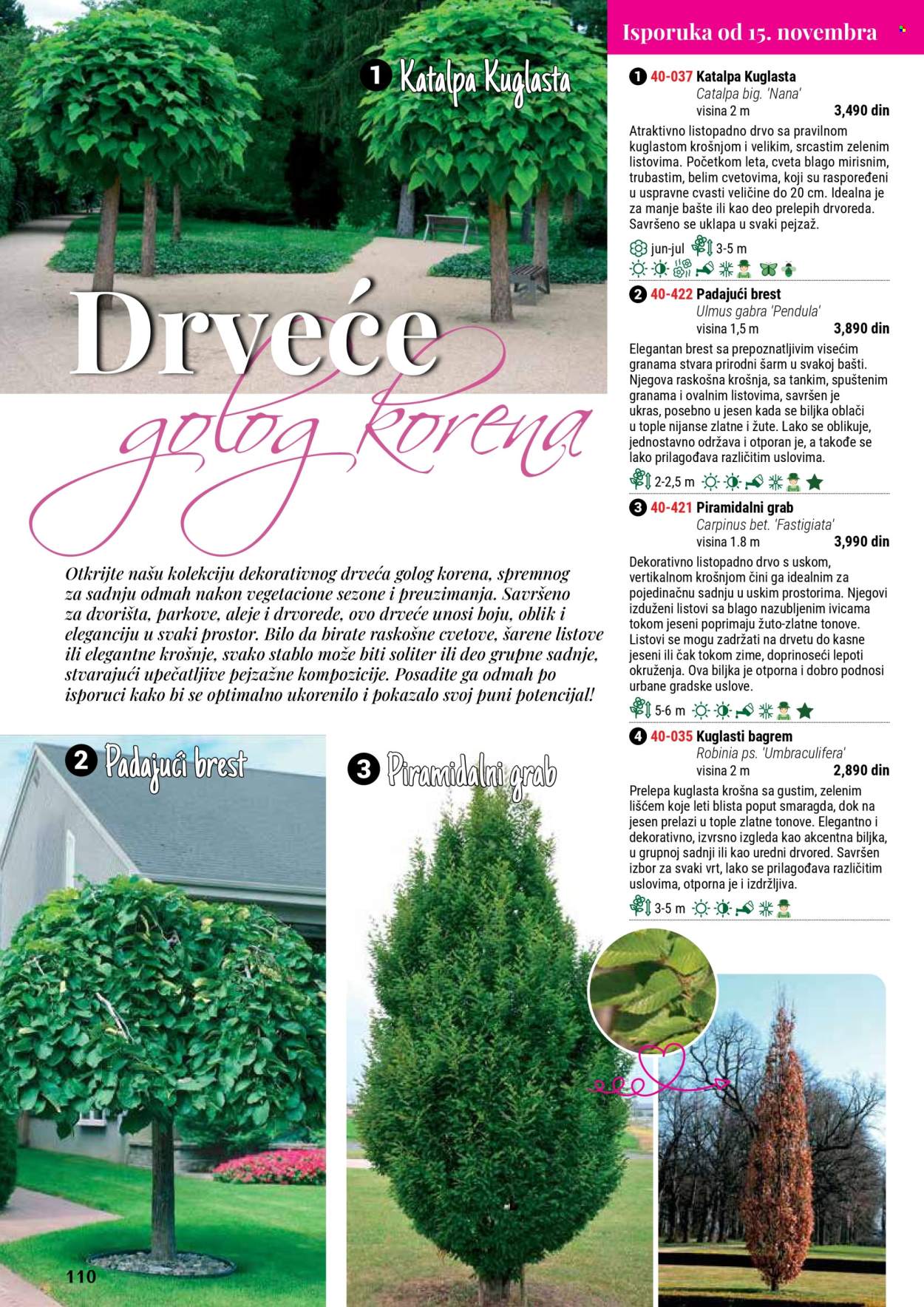 flora-ekspres - Flora Ekspres katalog septembar 2025 - page: 110