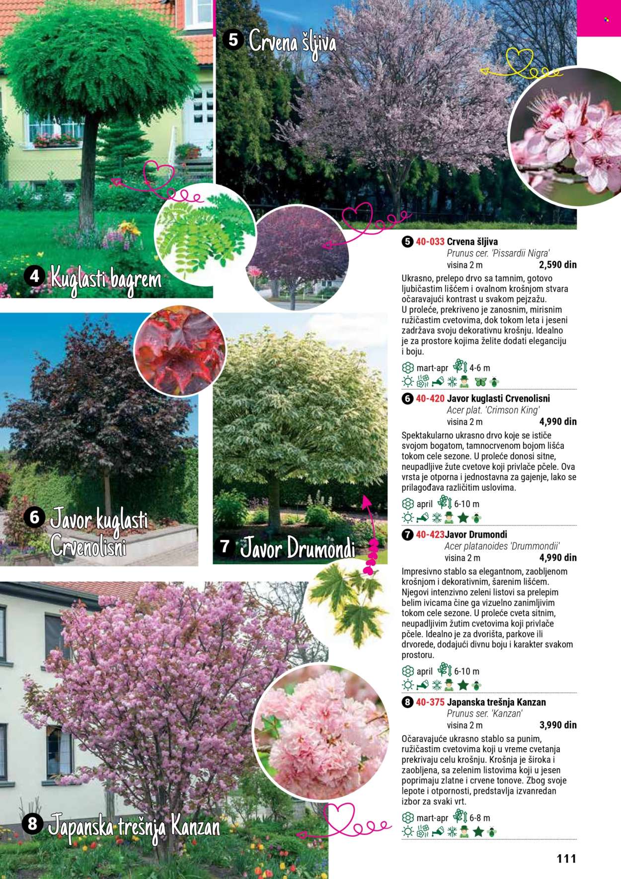 flora-ekspres - Flora Ekspres katalog septembar 2025 - page: 111