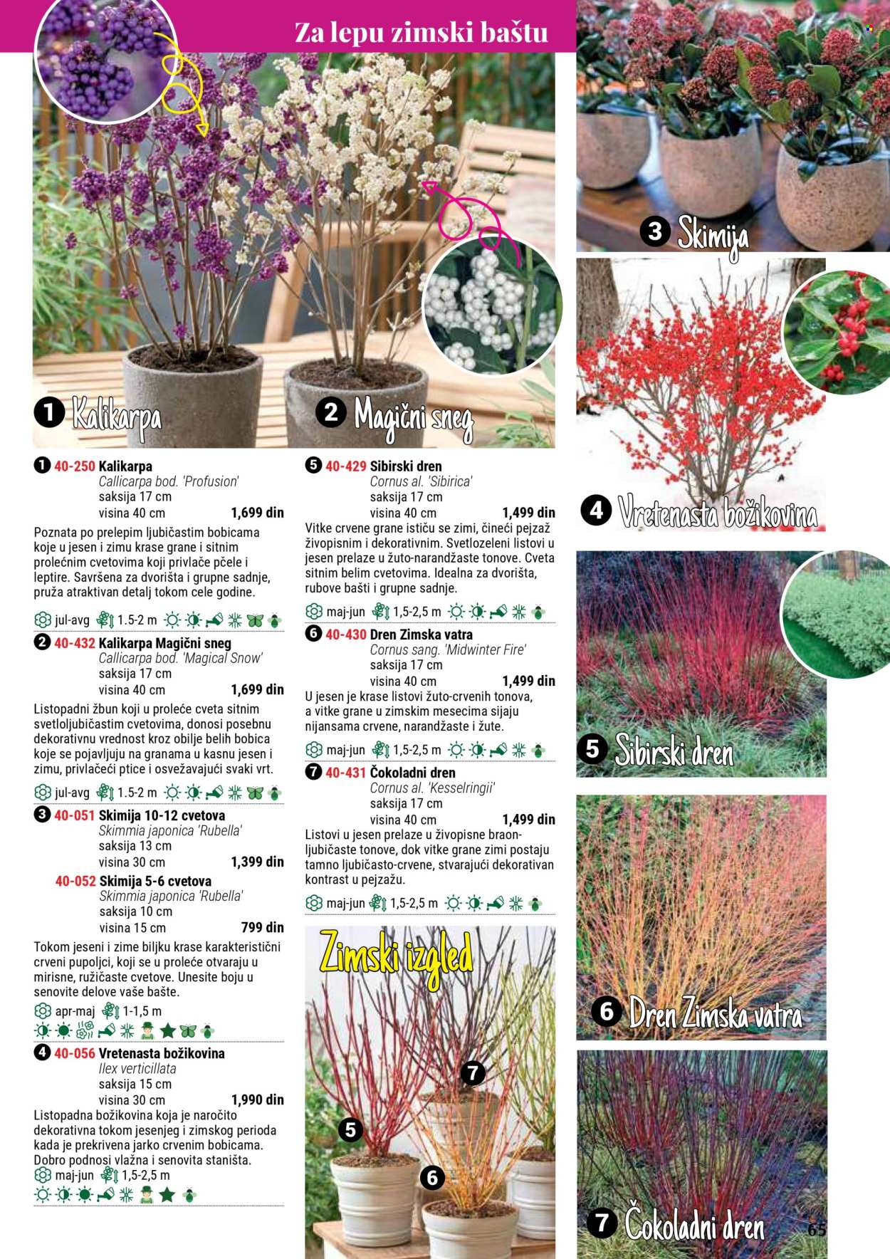 flora-ekspres - Flora Ekspres katalog septembar 2025 - page: 65