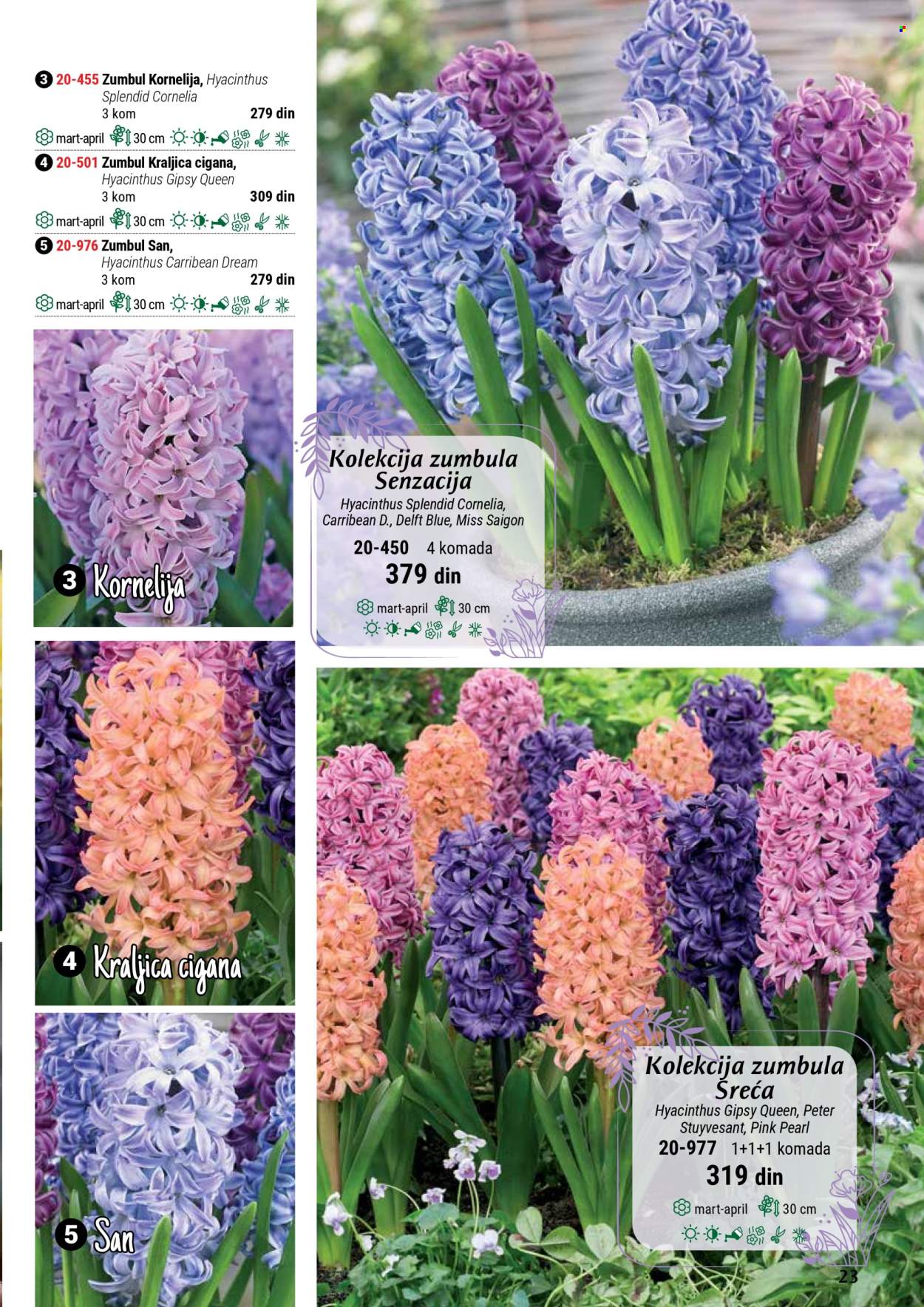flora-ekspres - Flora Ekspres katalog septembar 2025 - page: 23