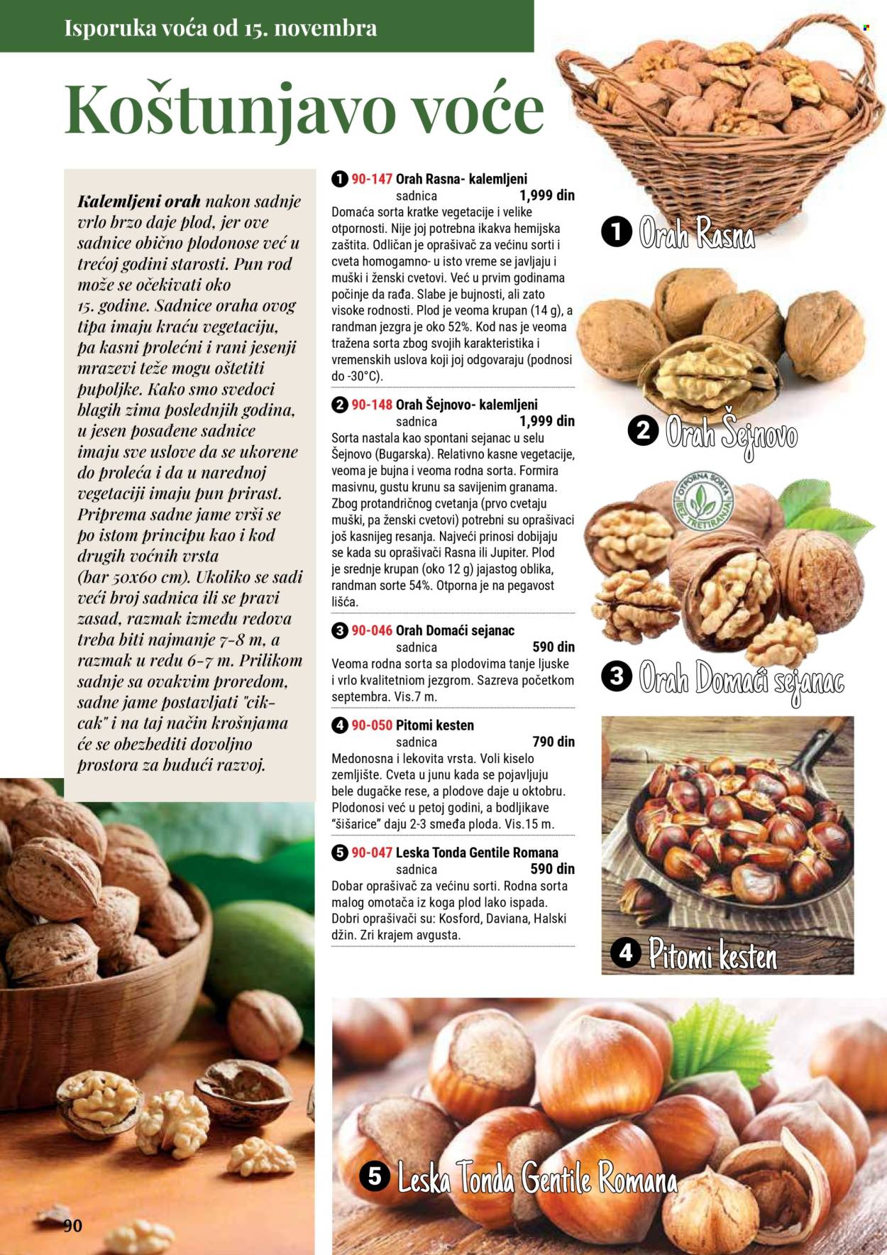 flora-ekspres - Flora Ekspres katalog septembar 2025 - page: 90