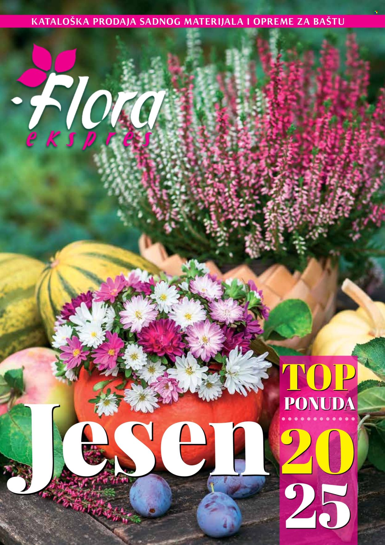 flora-ekspres - Flora Ekspres katalog septembar 2025