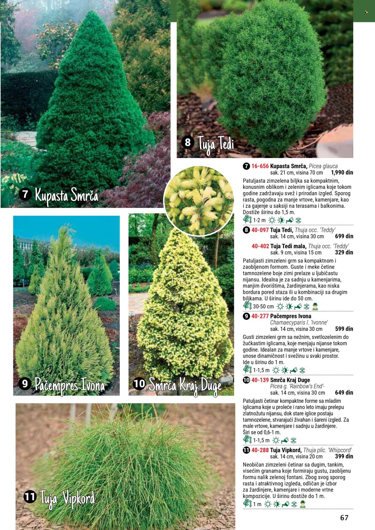 flora-ekspres - Flora Ekspres katalog septembar 2025 - page: 67