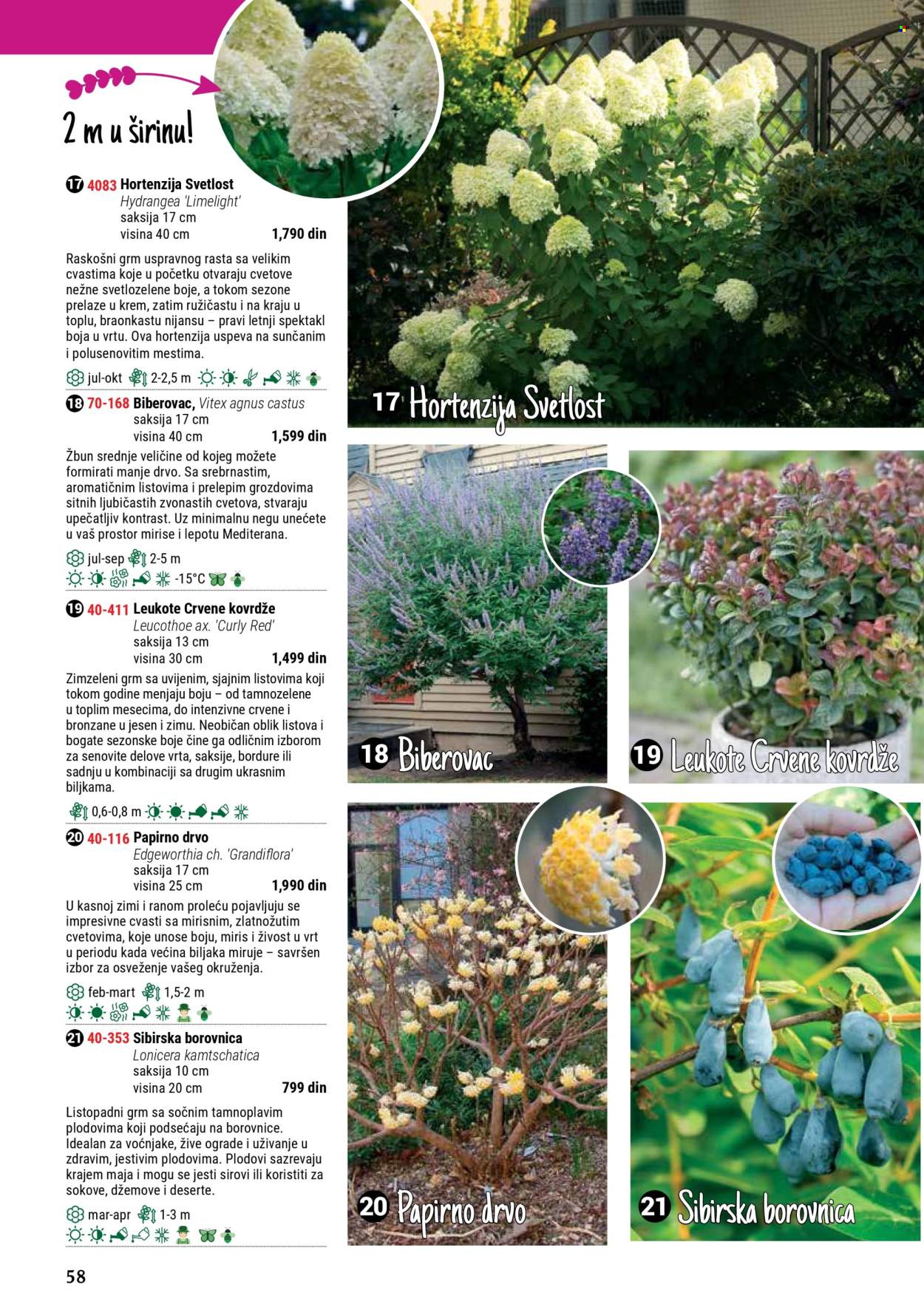 flora-ekspres - Flora Ekspres katalog septembar 2025 - page: 58