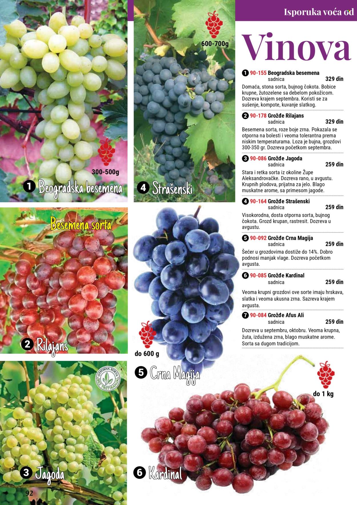 flora-ekspres - Flora Ekspres katalog septembar 2025 - page: 92