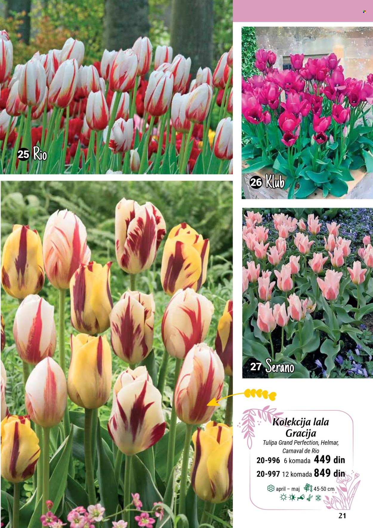 flora-ekspres - Flora Ekspres katalog septembar 2025 - page: 21