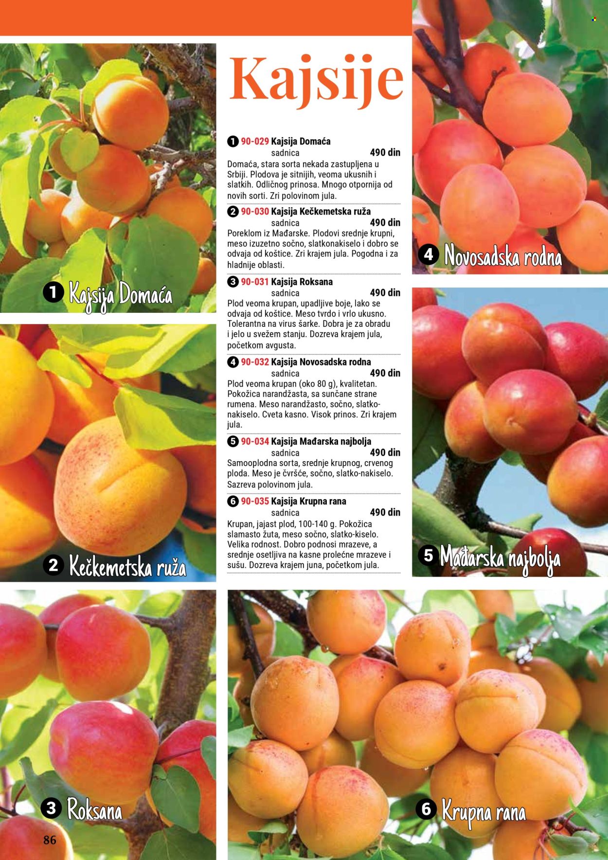 flora-ekspres - Flora Ekspres katalog septembar 2025 - page: 86