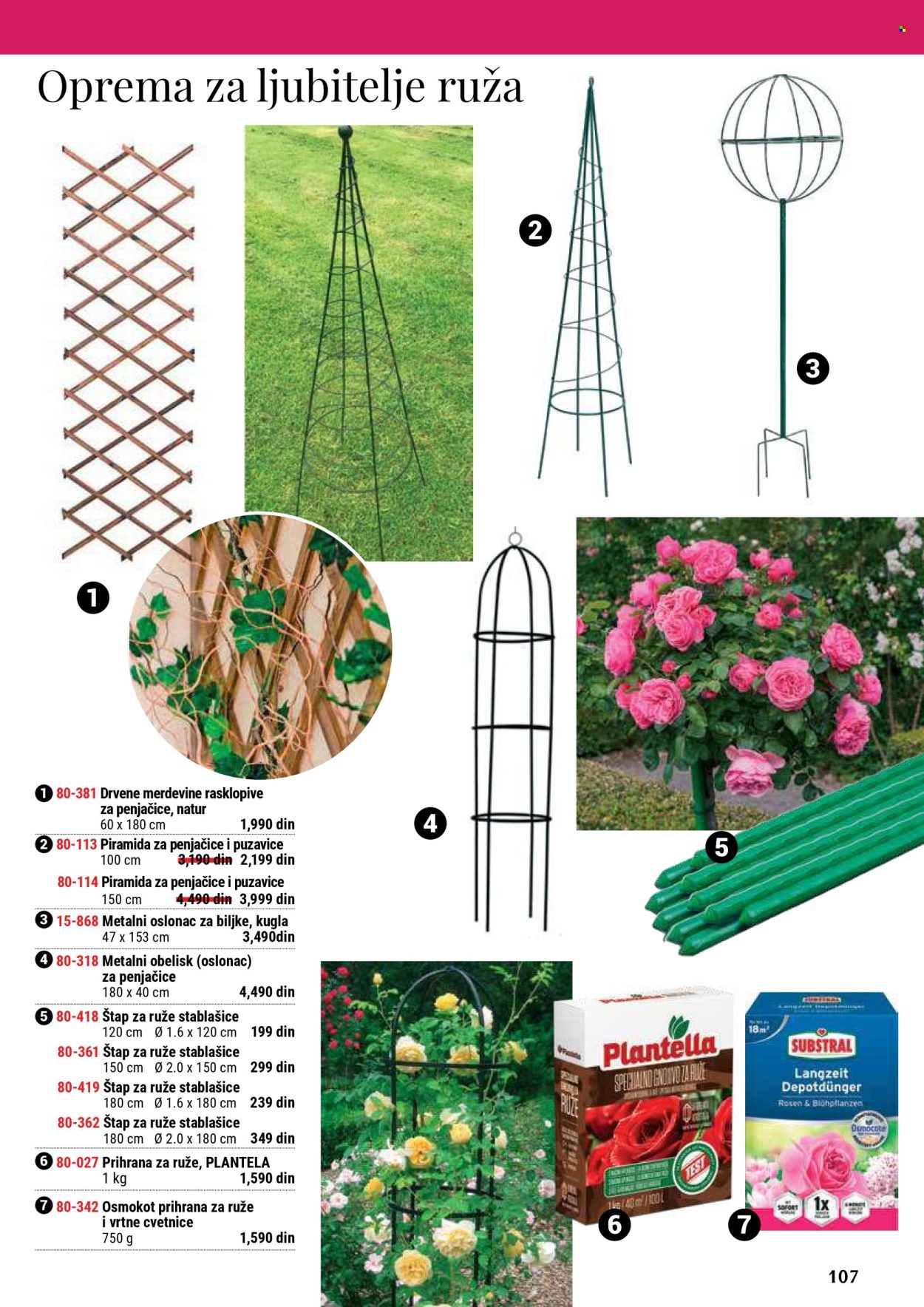 flora-ekspres - Flora Ekspres katalog septembar 2025 - page: 107