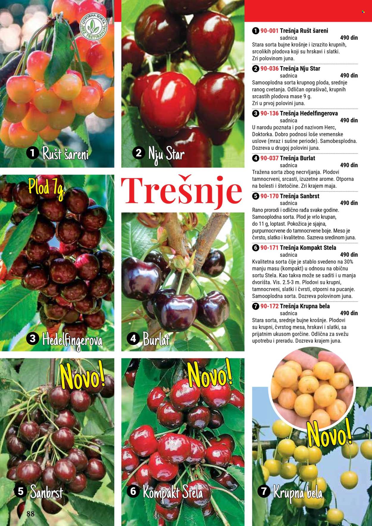 flora-ekspres - Flora Ekspres katalog septembar 2025 - page: 88