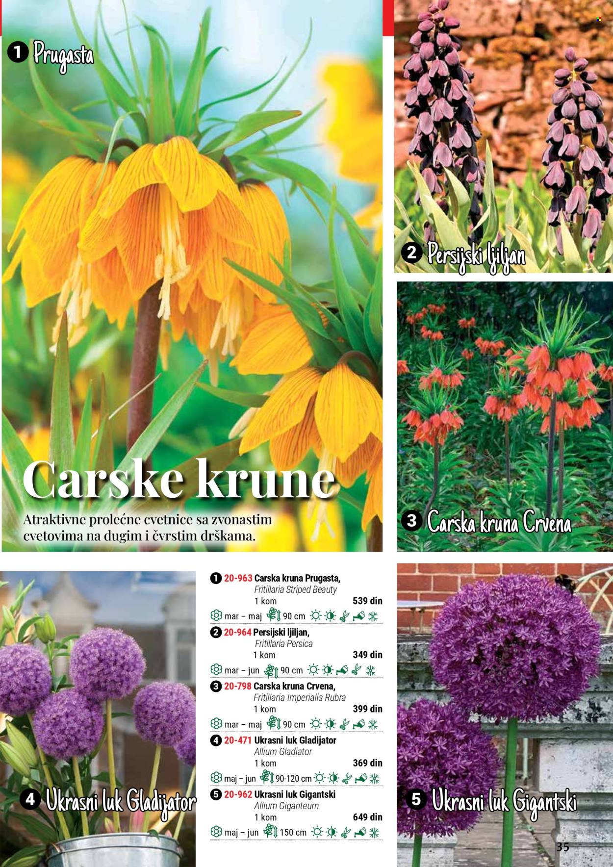 flora-ekspres - Flora Ekspres katalog septembar 2025 - page: 35
