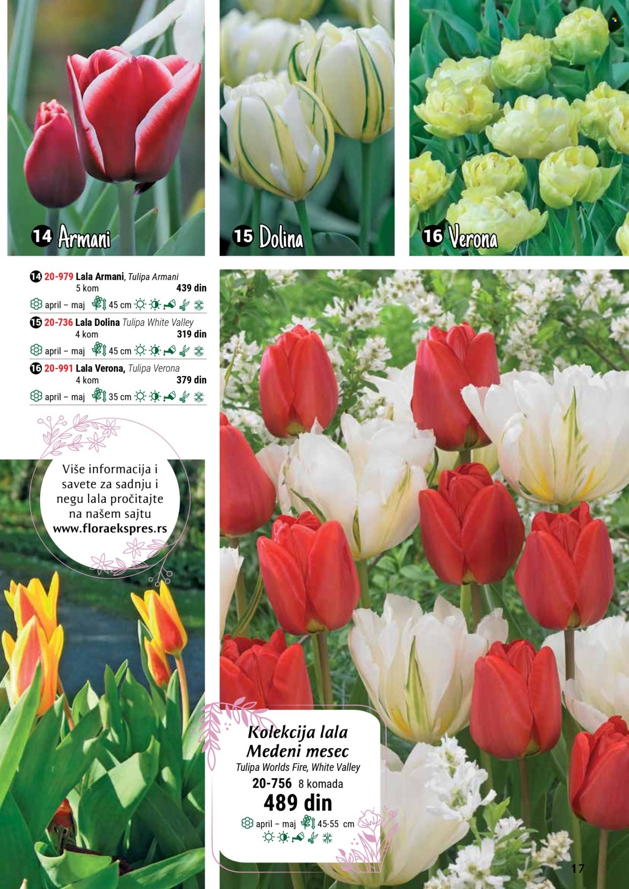 flora-ekspres - Flora Ekspres katalog septembar 2025 - page: 17
