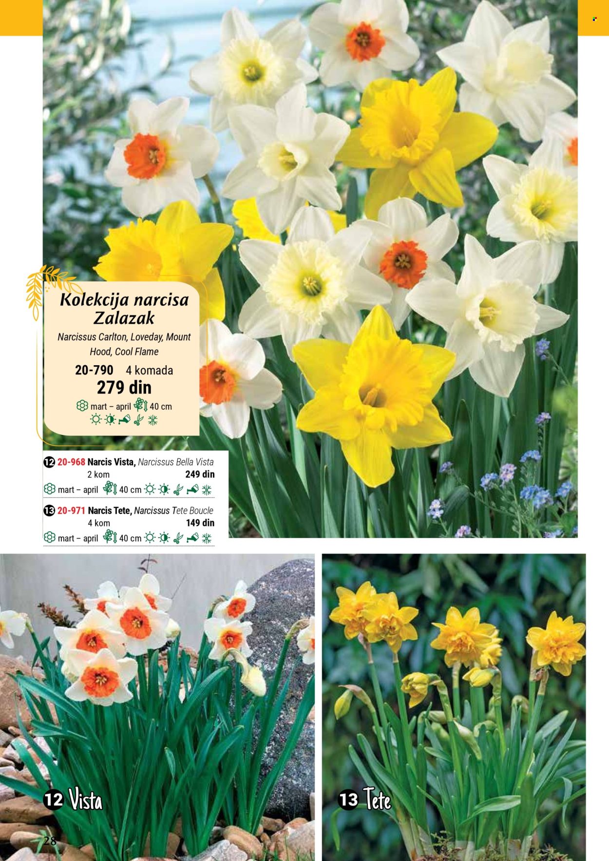 flora-ekspres - Flora Ekspres katalog septembar 2025 - page: 28