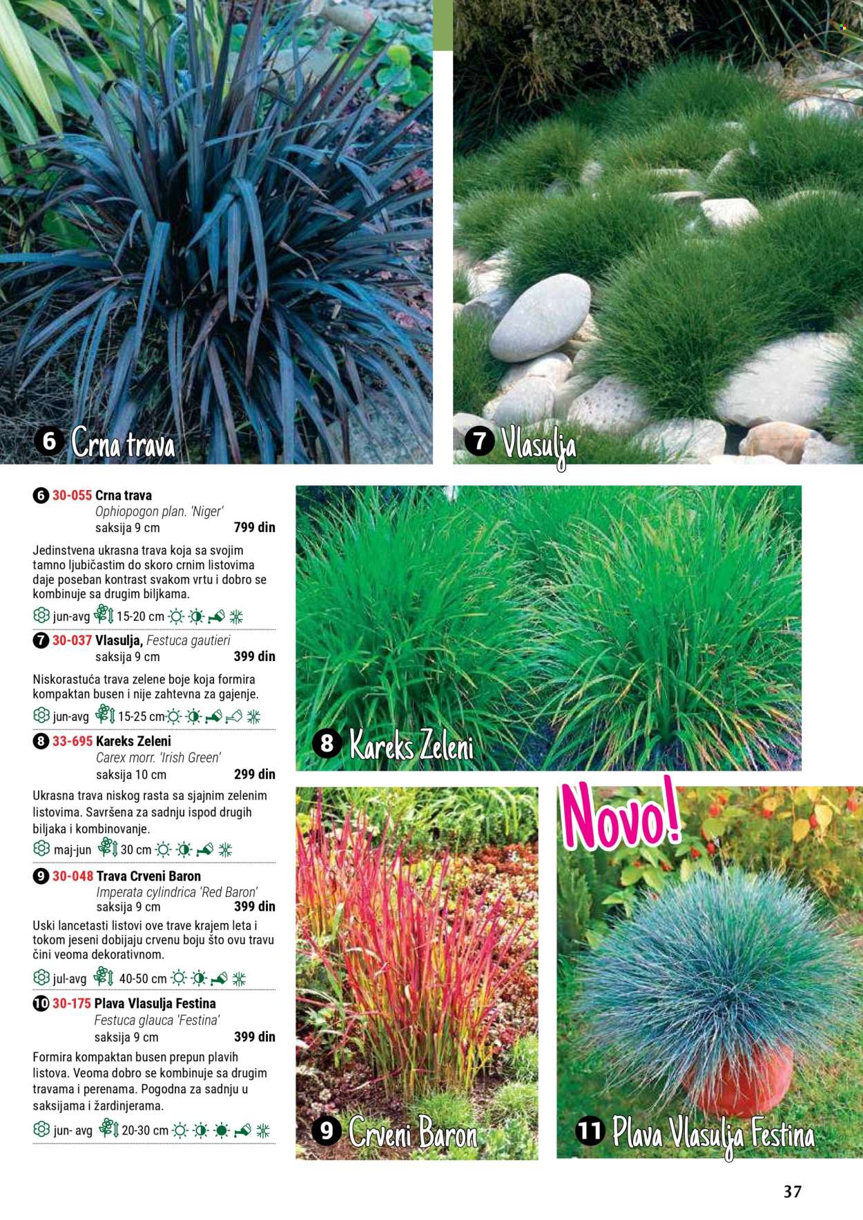 flora-ekspres - Flora Ekspres katalog septembar 2025 - page: 37