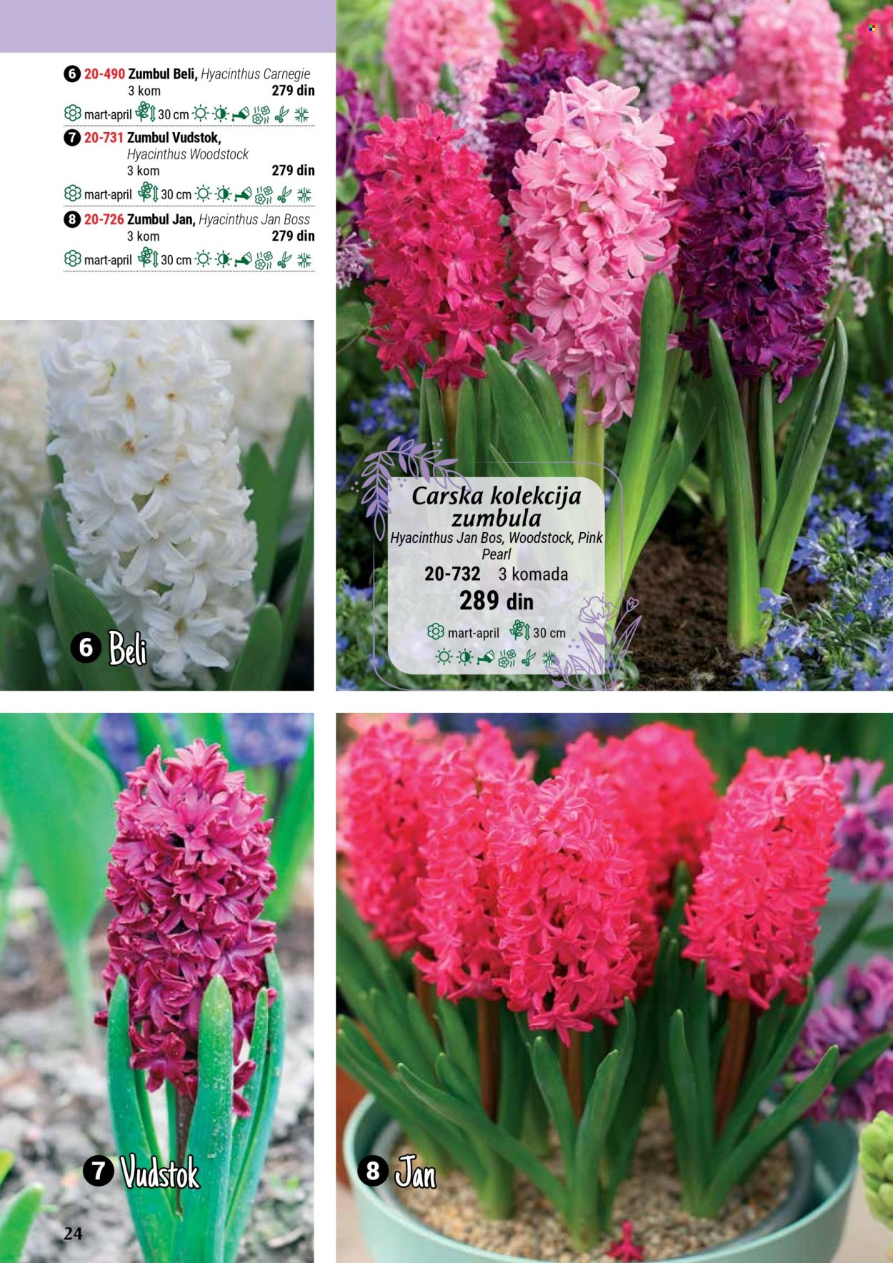 flora-ekspres - Flora Ekspres katalog septembar 2025 - page: 24