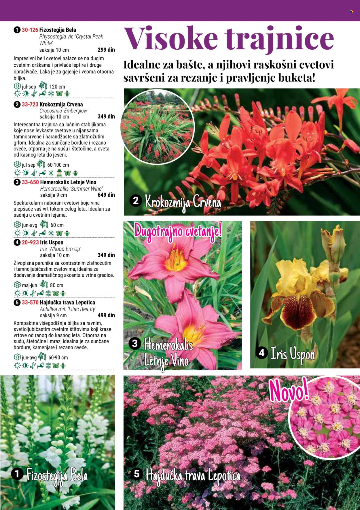 flora-ekspres - Flora Ekspres katalog septembar 2025 - page: 45