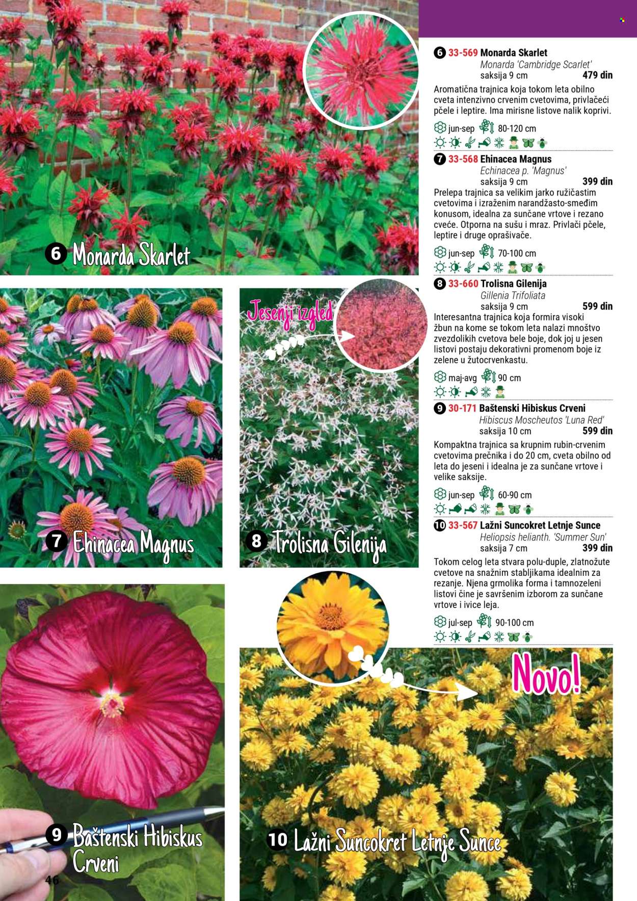 flora-ekspres - Flora Ekspres katalog septembar 2025 - page: 46