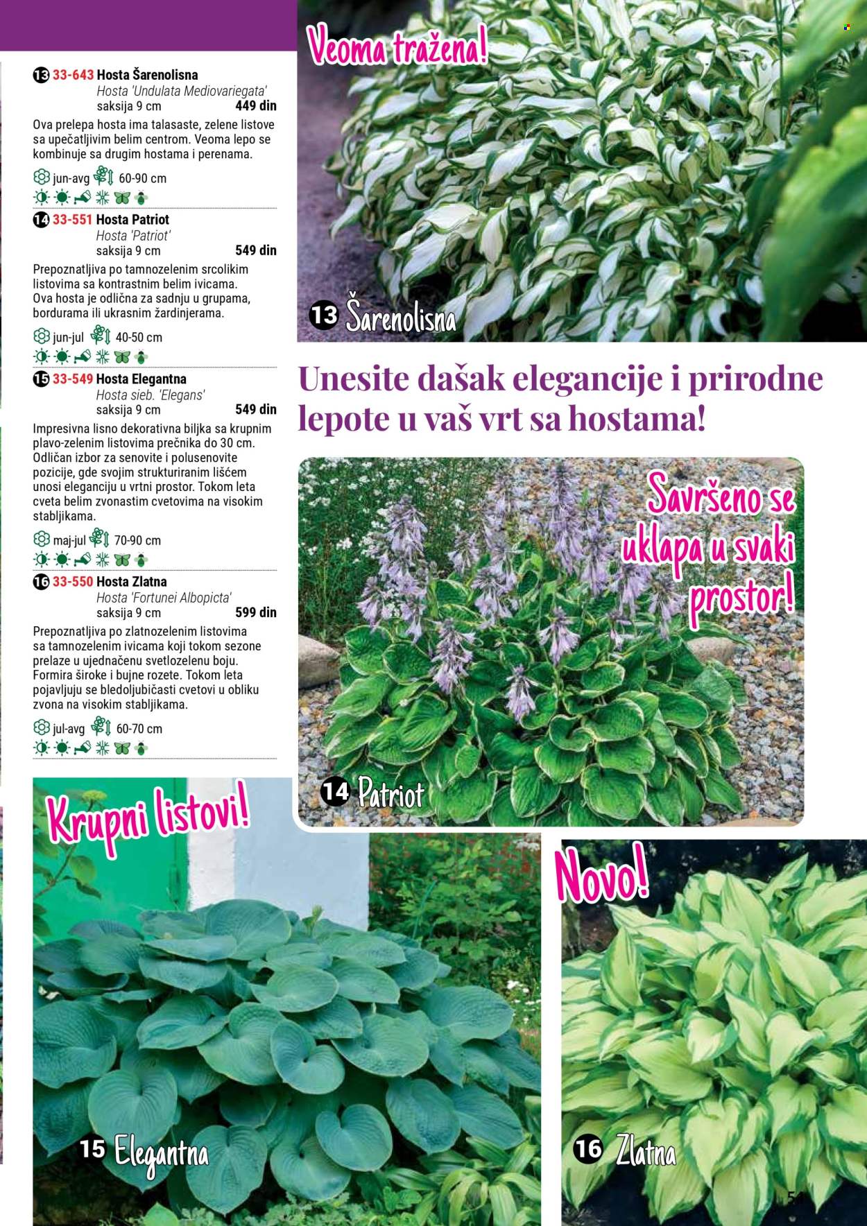 flora-ekspres - Flora Ekspres katalog septembar 2025 - page: 51