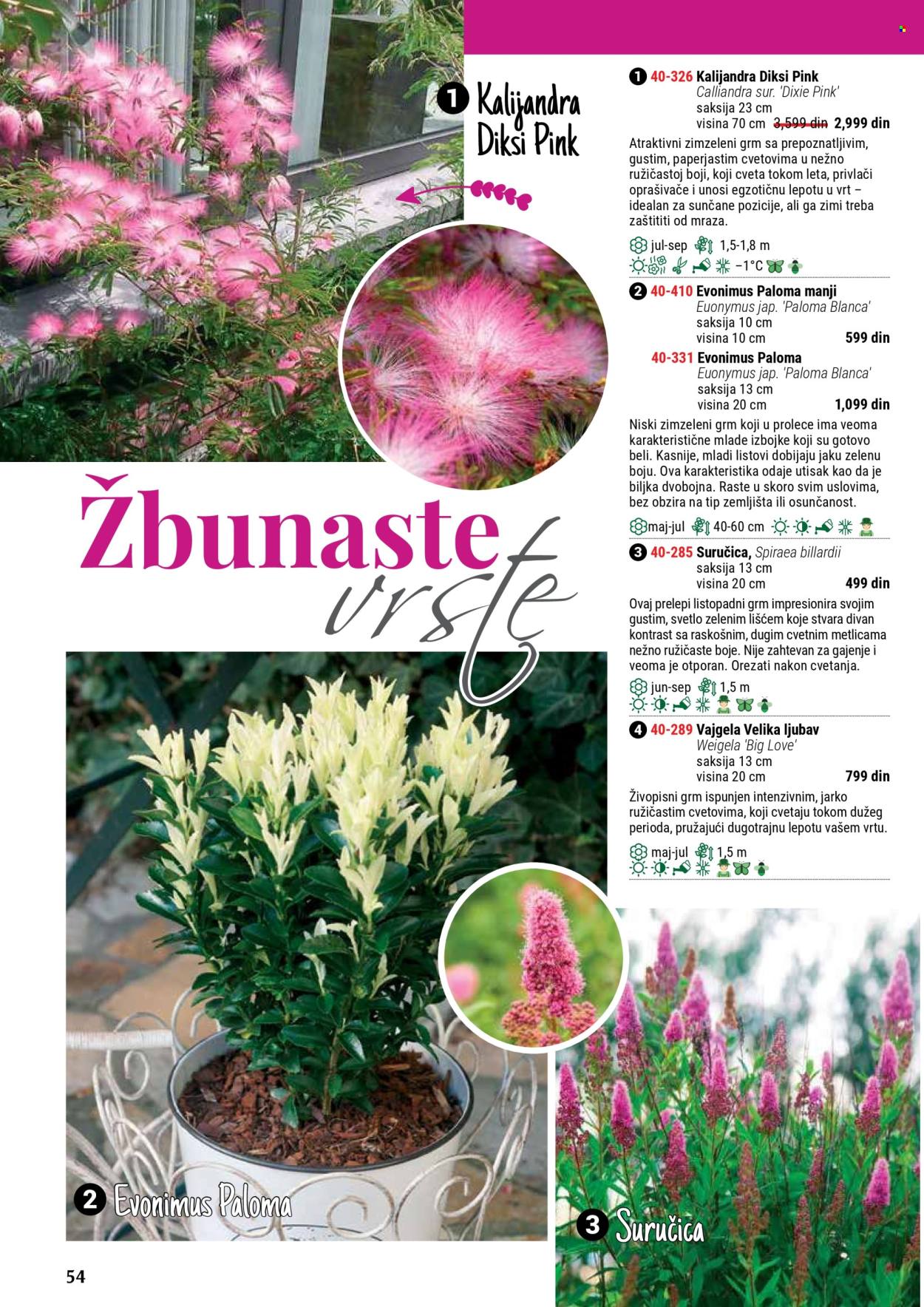 flora-ekspres - Flora Ekspres katalog septembar 2025 - page: 54