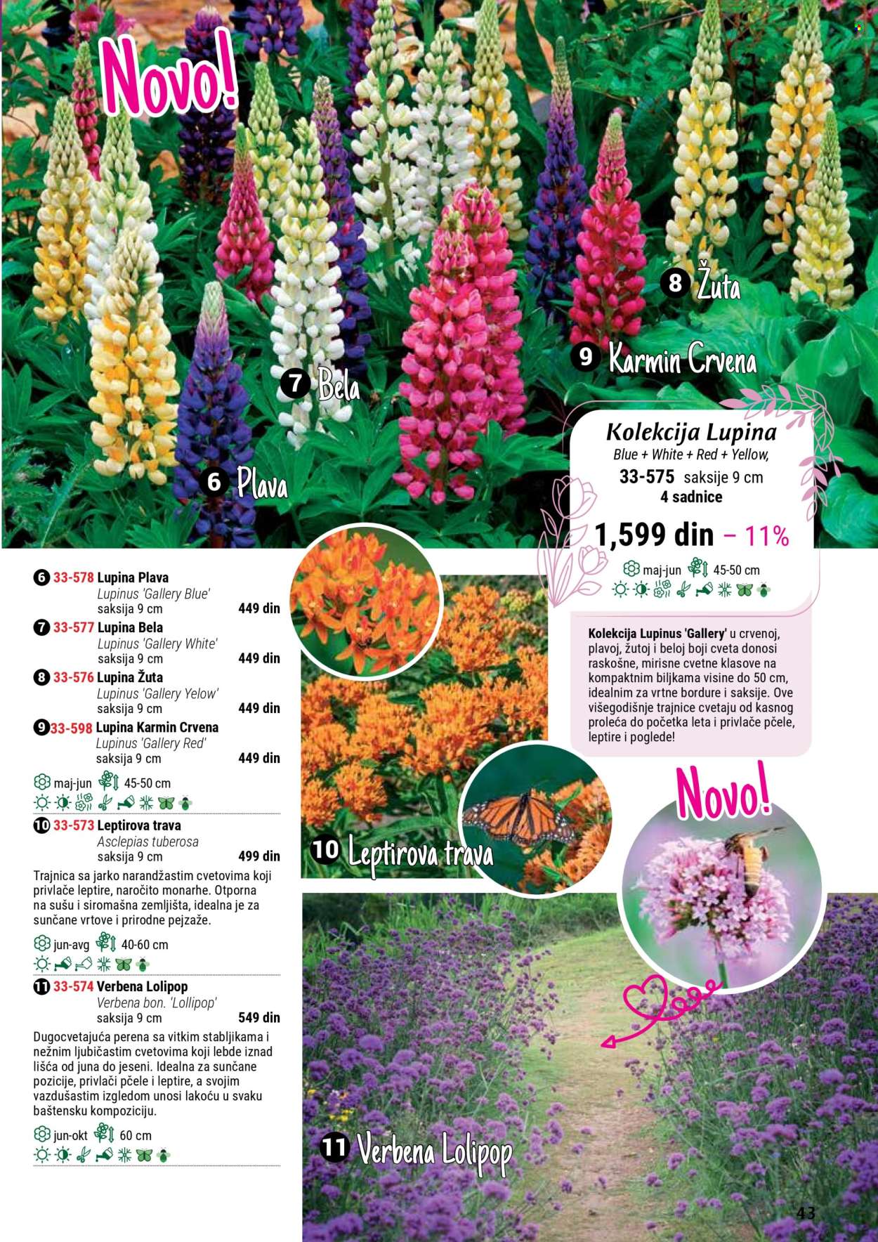 flora-ekspres - Flora Ekspres katalog septembar 2025 - page: 43