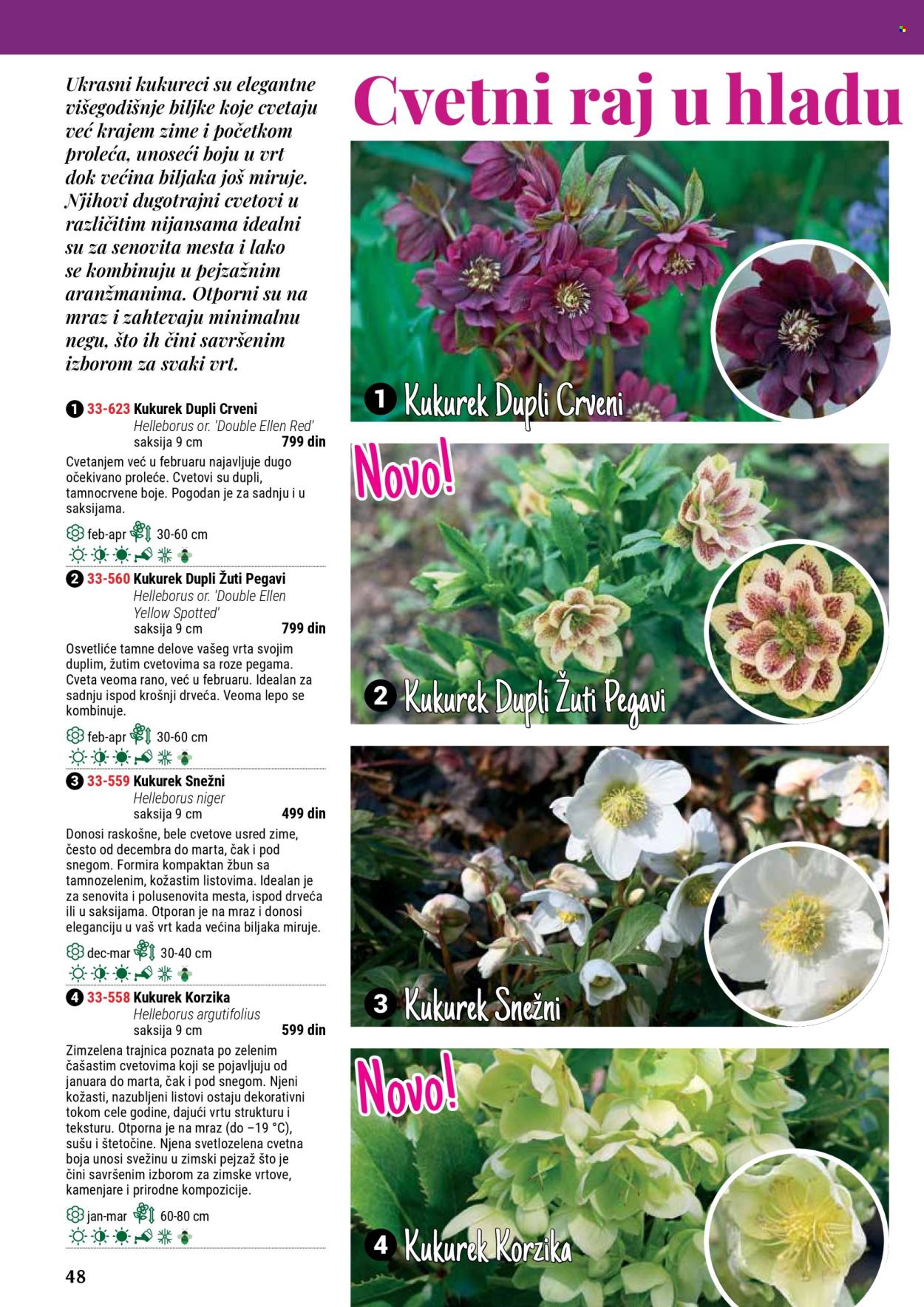 flora-ekspres - Flora Ekspres katalog septembar 2025 - page: 48