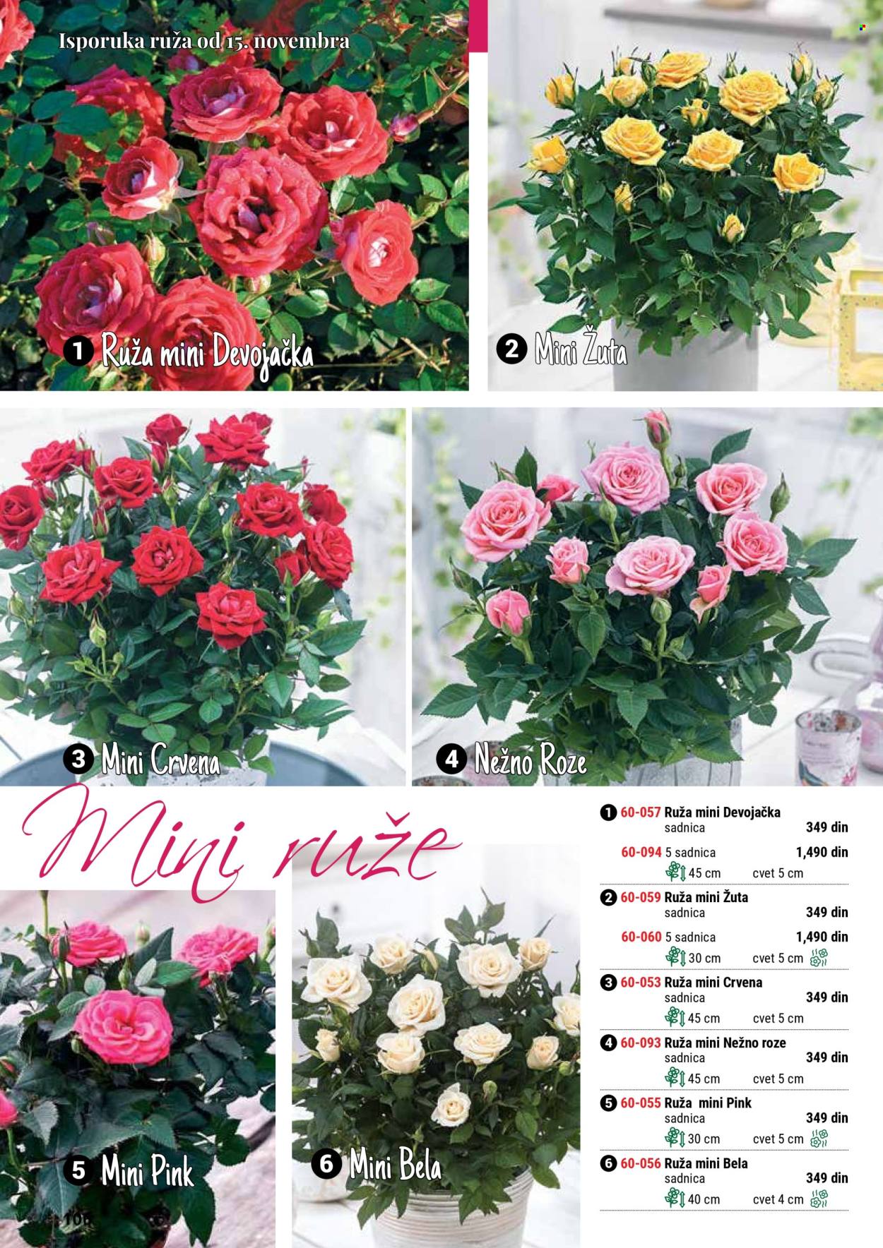 flora-ekspres - Flora Ekspres katalog septembar 2025 - page: 106