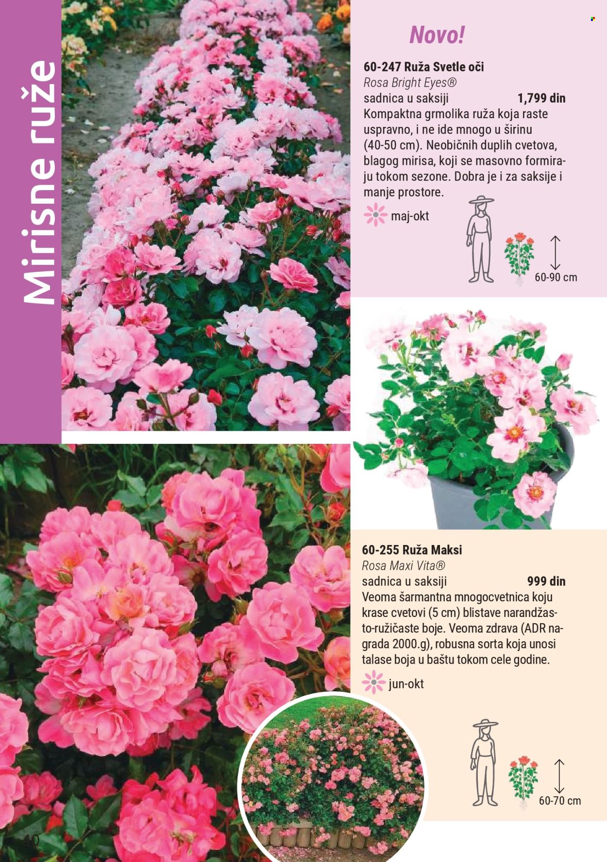 flora-ekspres - Flora Ekspres katalog novembar 2025 - page: 40