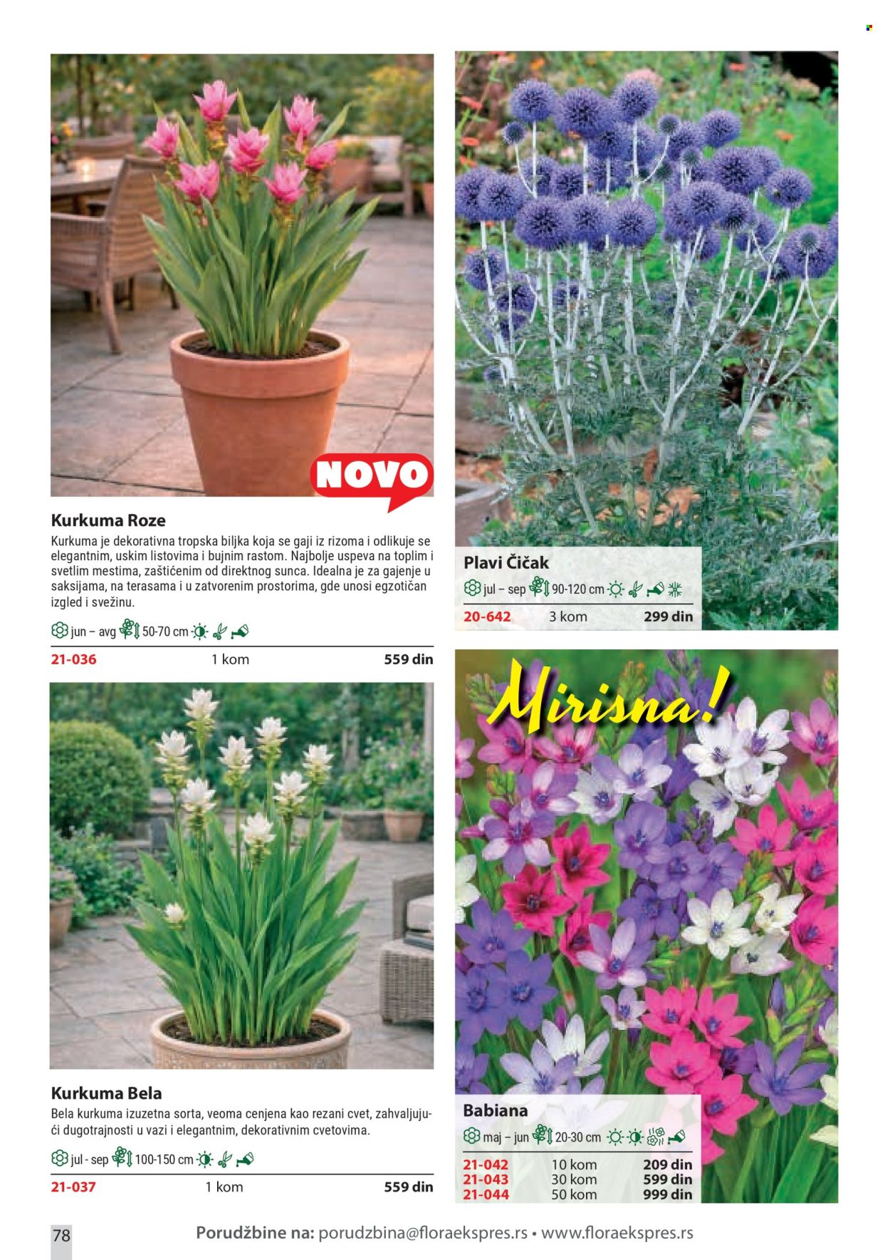 flora-ekspres - Flora Ekspres katalog februar 2026 - page: 78