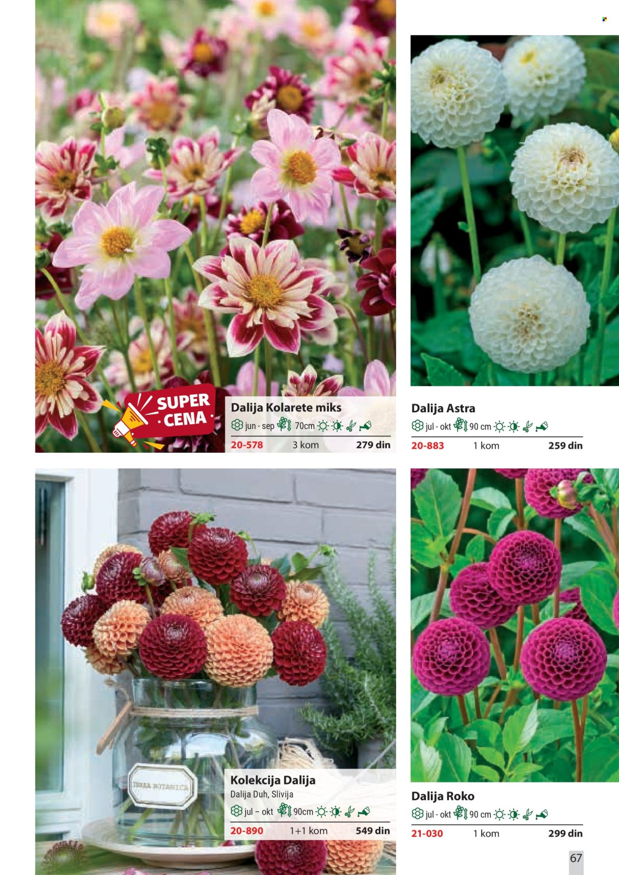 flora-ekspres - Flora Ekspres katalog februar 2026 - page: 67