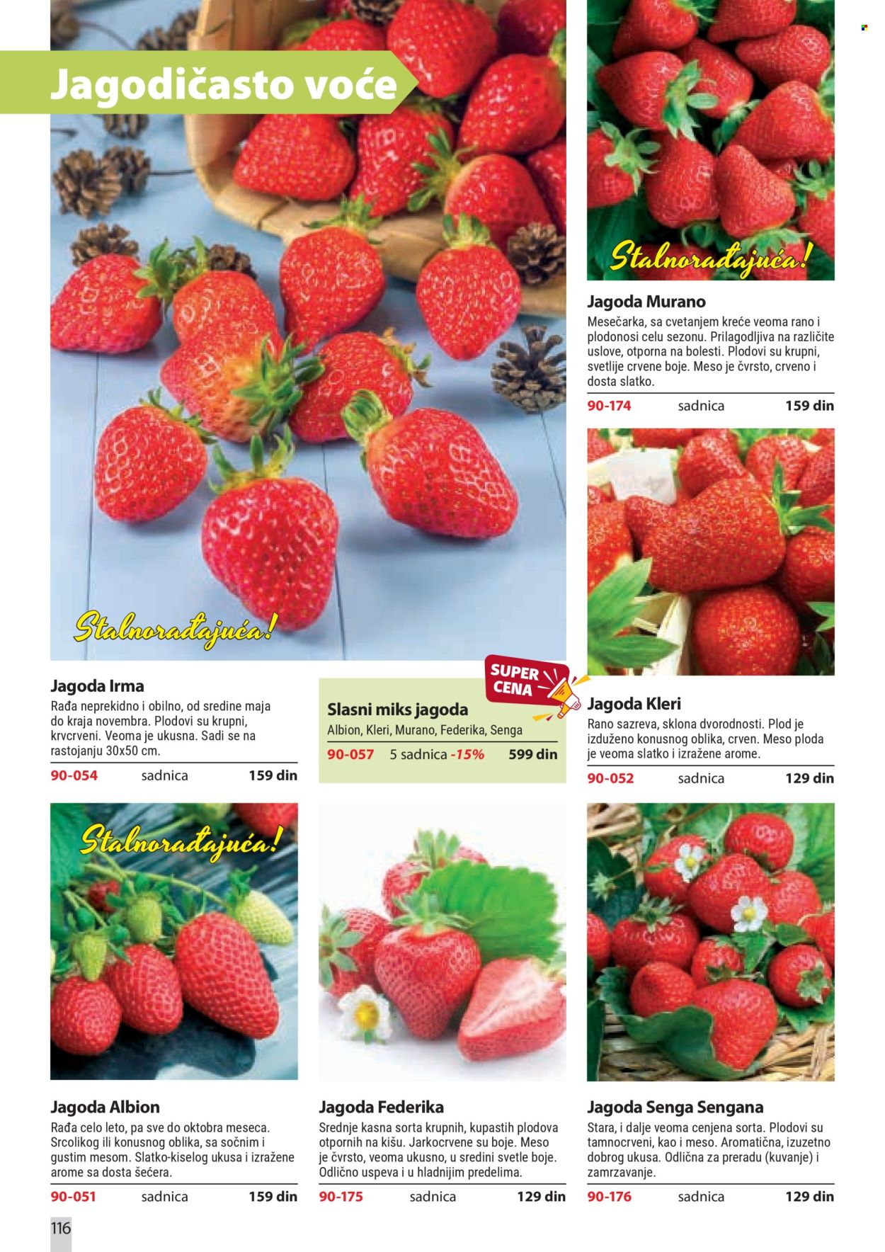 flora-ekspres - Flora Ekspres katalog februar 2026 - page: 116