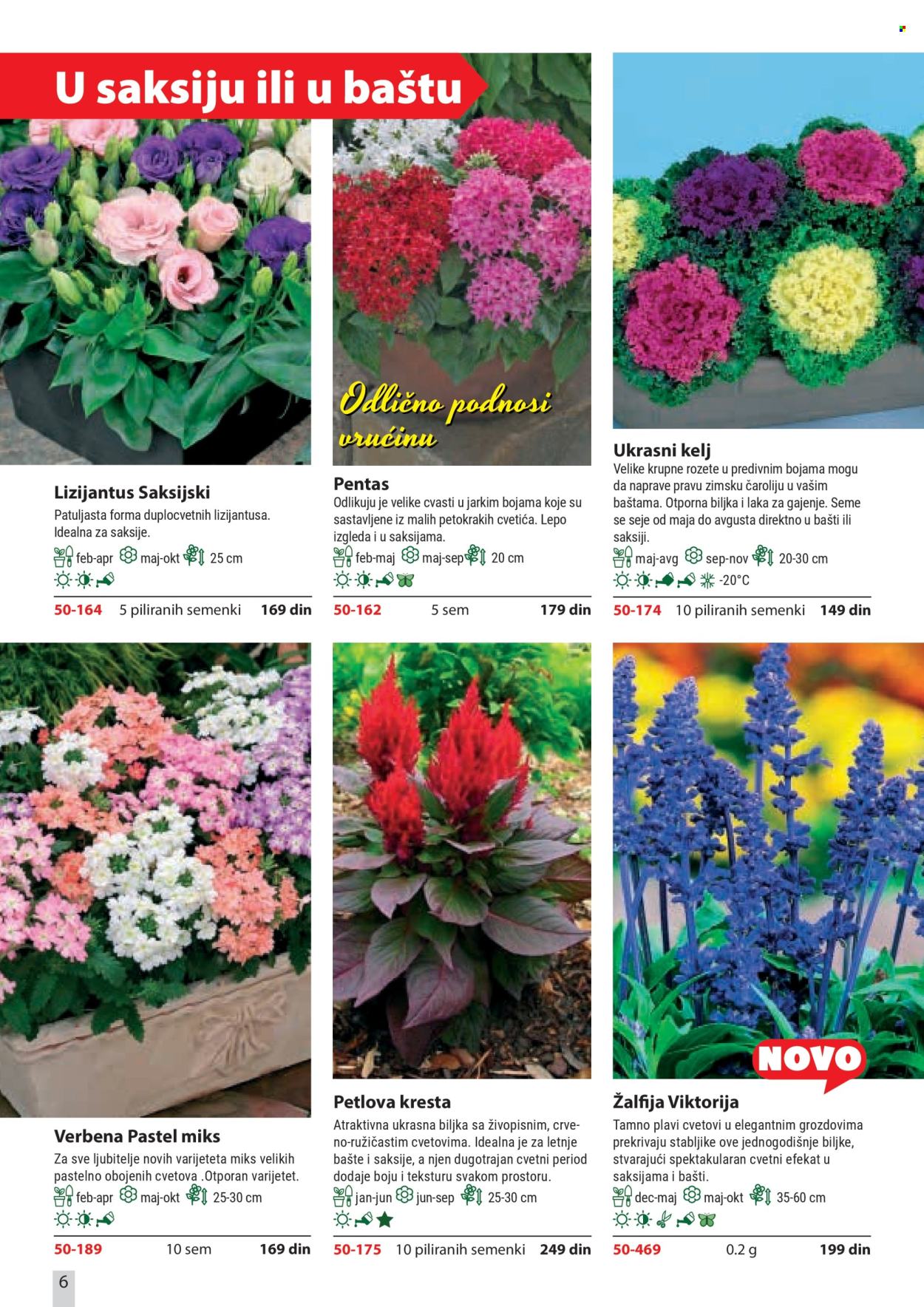 flora-ekspres - Flora Ekspres katalog februar 2026 - page: 6