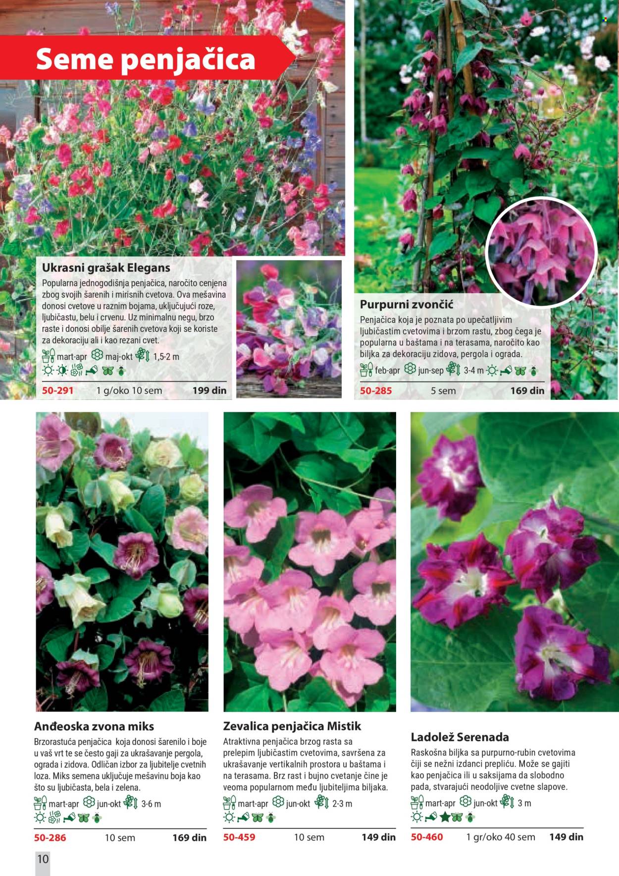 flora-ekspres - Flora Ekspres katalog februar 2026 - page: 10