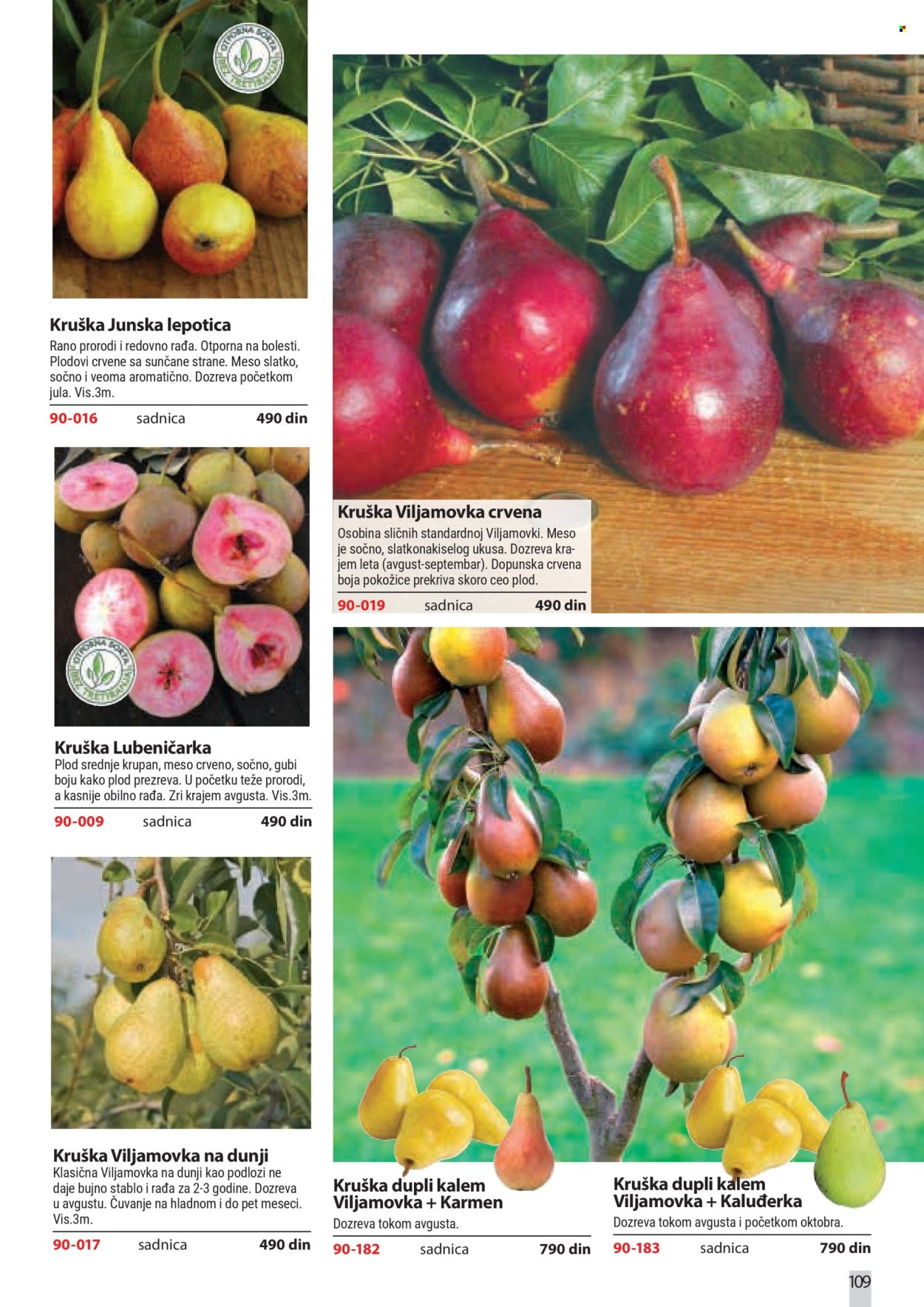 flora-ekspres - Flora Ekspres katalog februar 2026 - page: 109