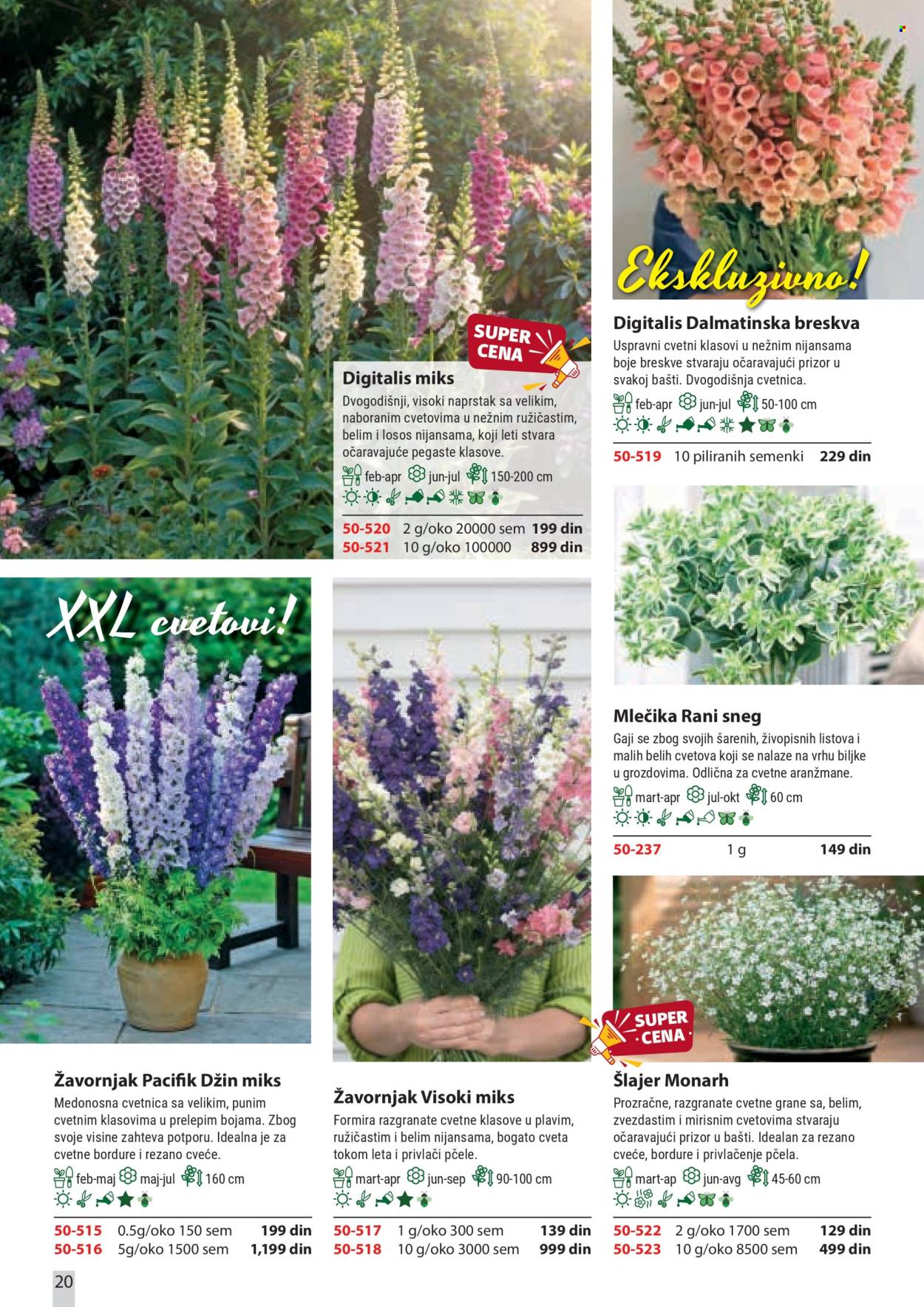 flora-ekspres - Flora Ekspres katalog februar 2026 - page: 20