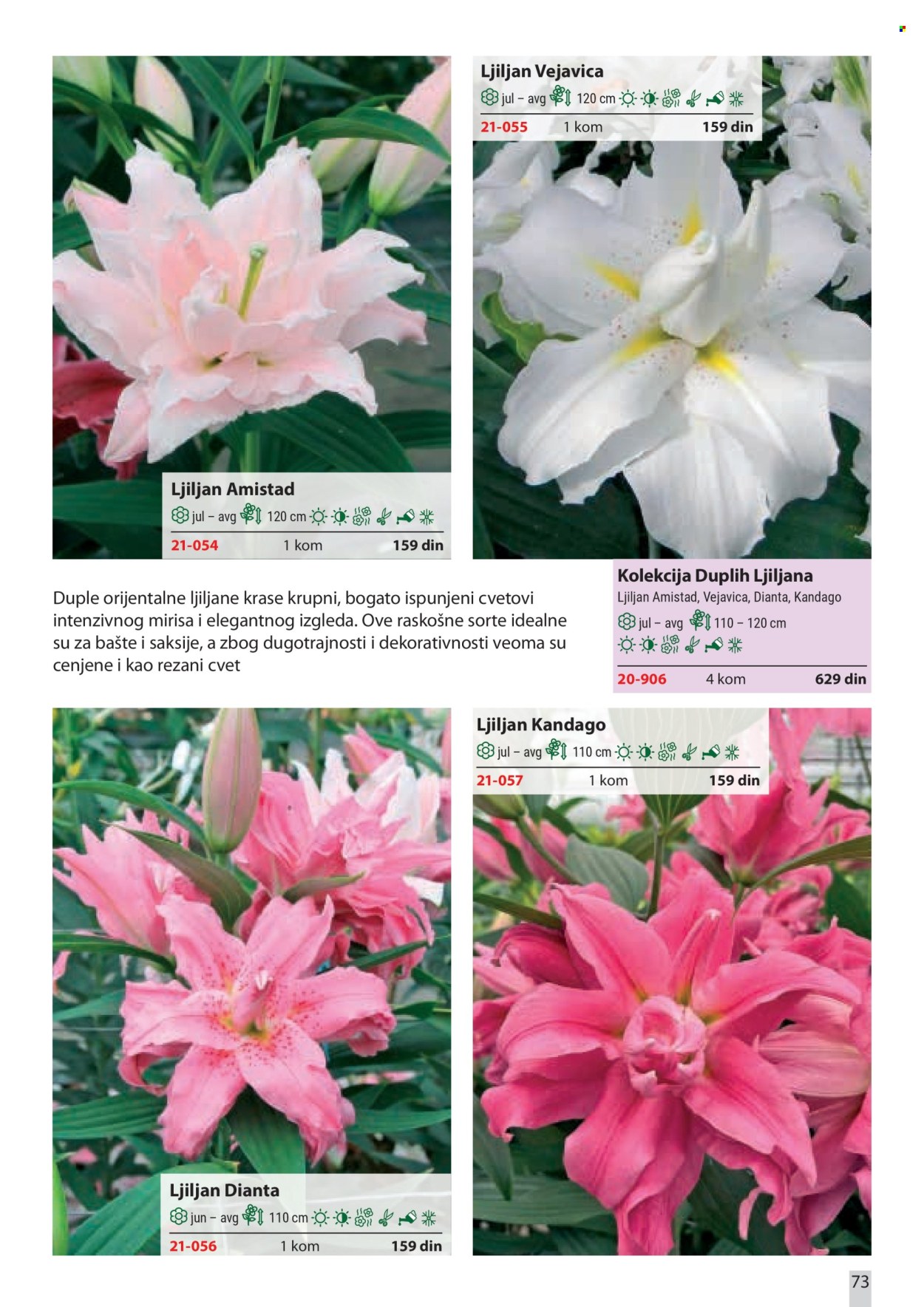 flora-ekspres - Flora Ekspres katalog februar 2026 - page: 73