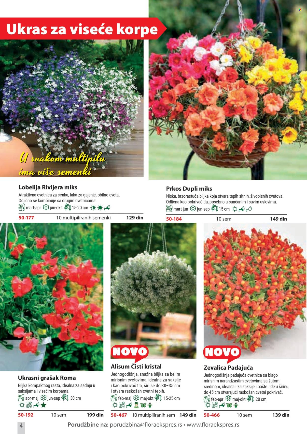 flora-ekspres - Flora Ekspres katalog februar 2026 - page: 4