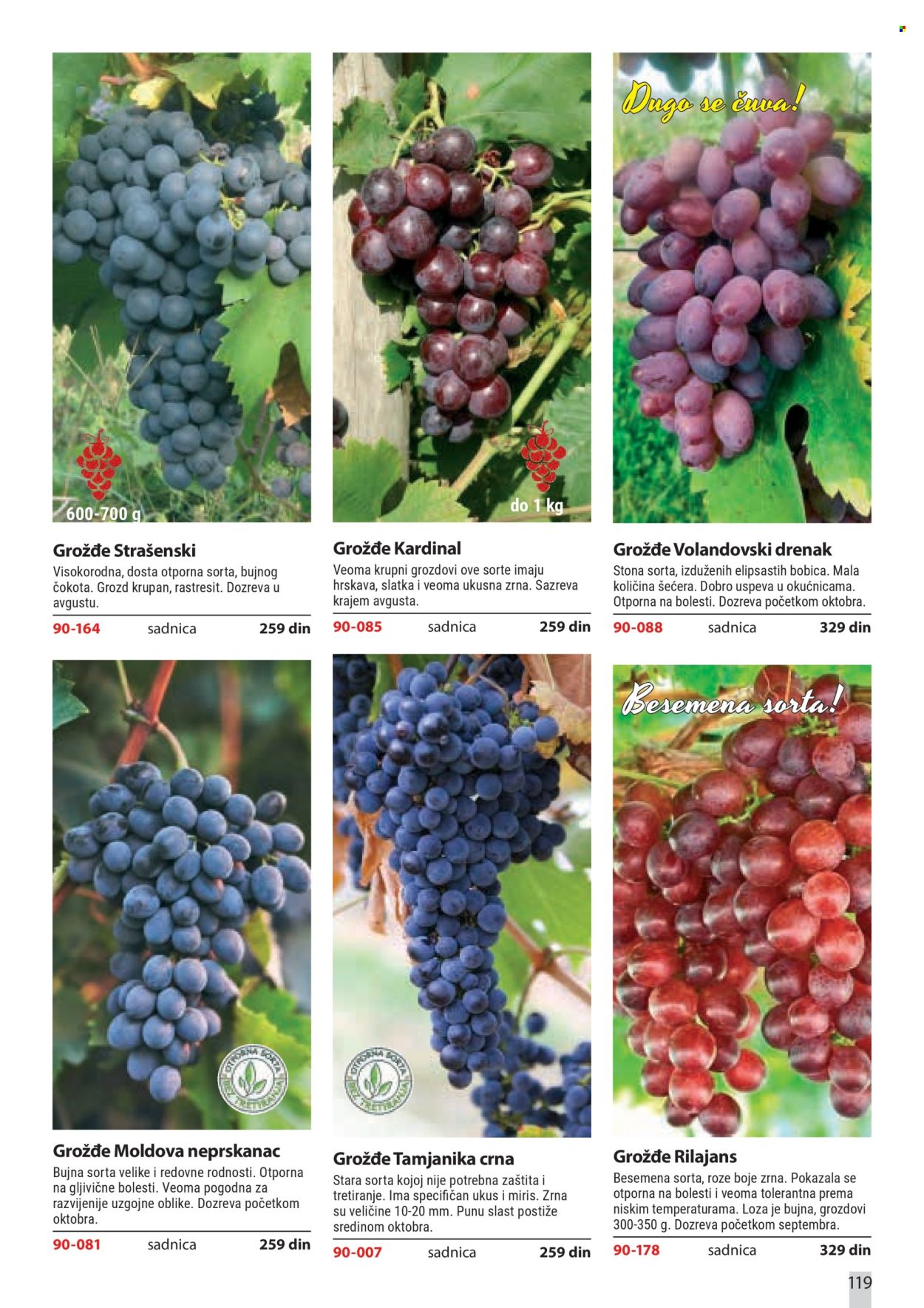 flora-ekspres - Flora Ekspres katalog februar 2026 - page: 119