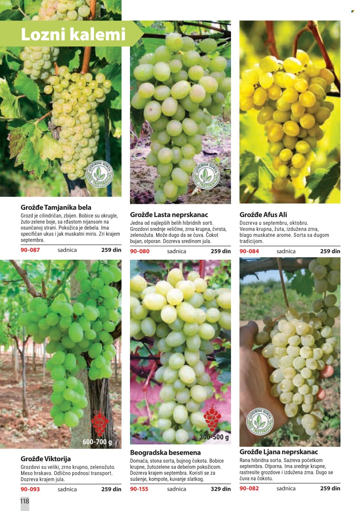 flora-ekspres - Flora Ekspres katalog februar 2026 - page: 118