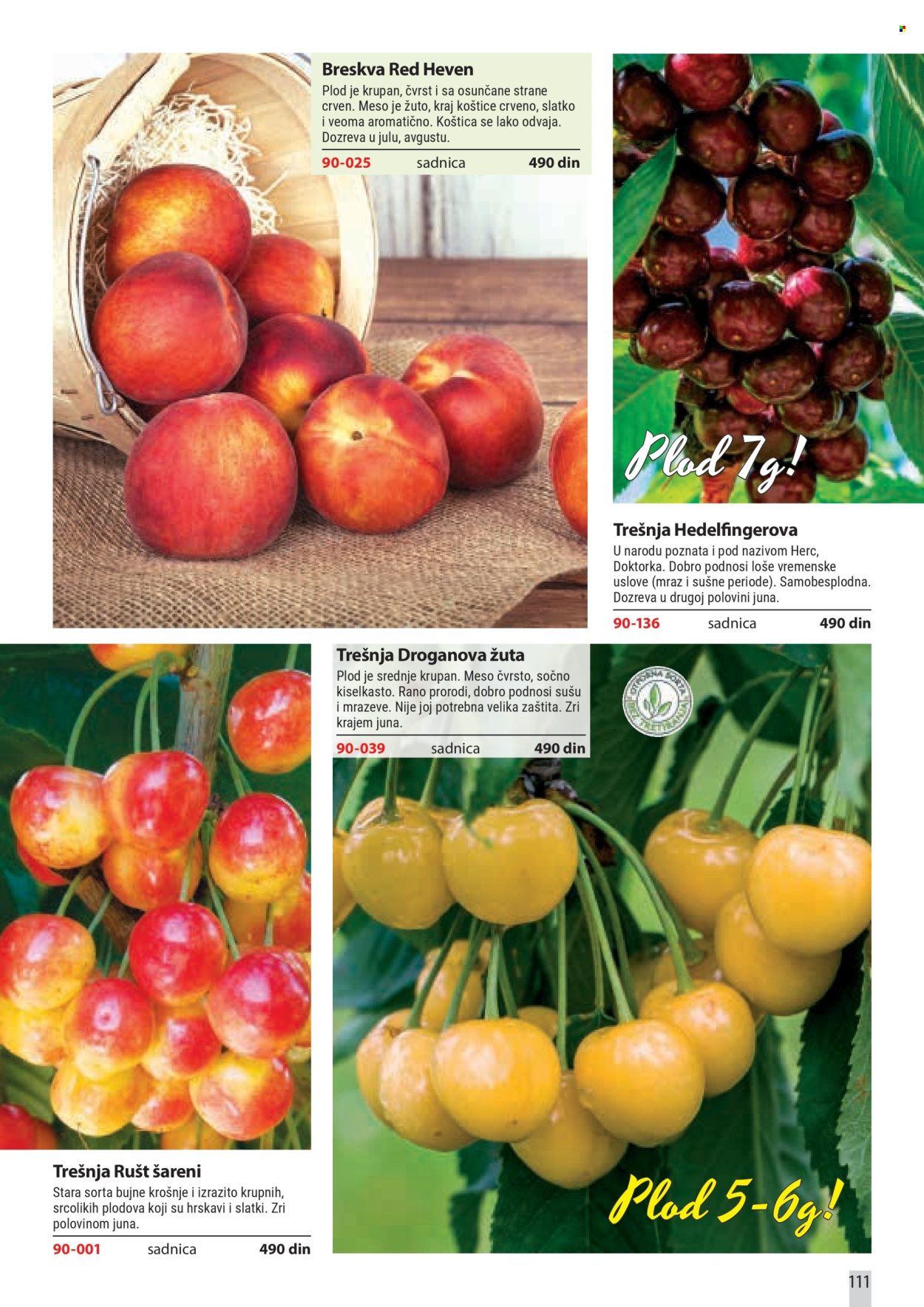 flora-ekspres - Flora Ekspres katalog februar 2026 - page: 111