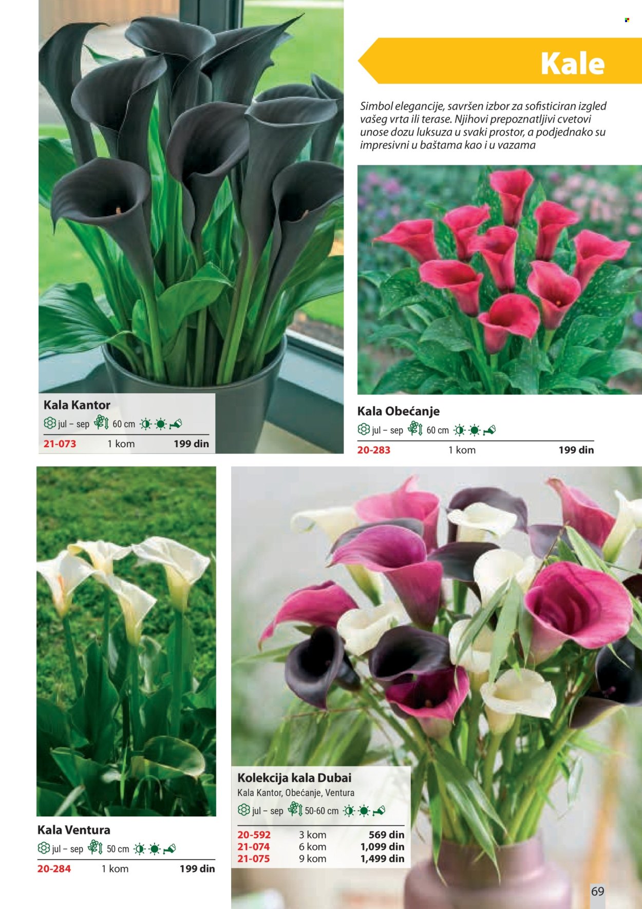 flora-ekspres - Flora Ekspres katalog februar 2026 - page: 69