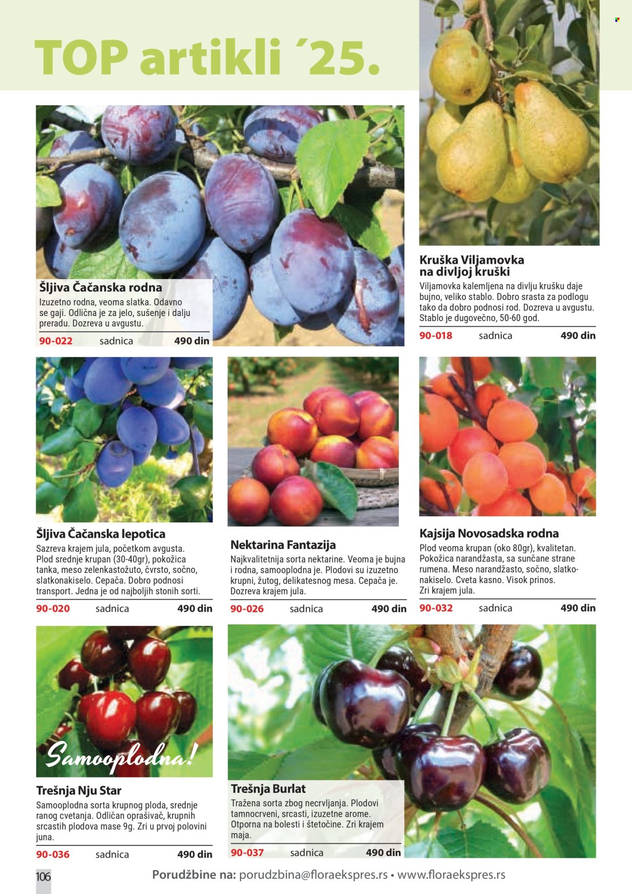 flora-ekspres - Flora Ekspres katalog februar 2026 - page: 106